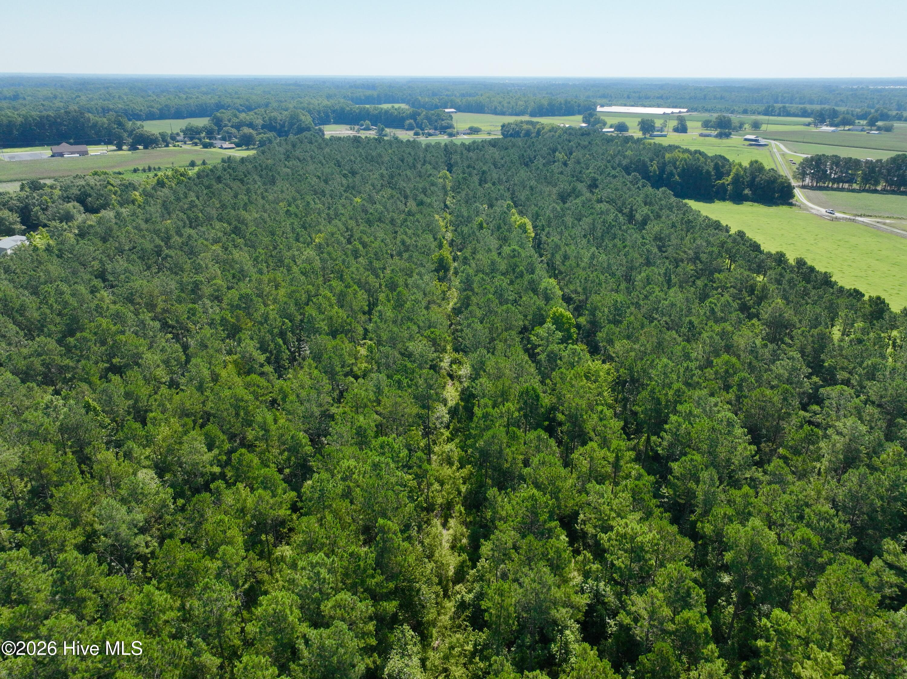 0 Cedar Fork Road,Beulaville