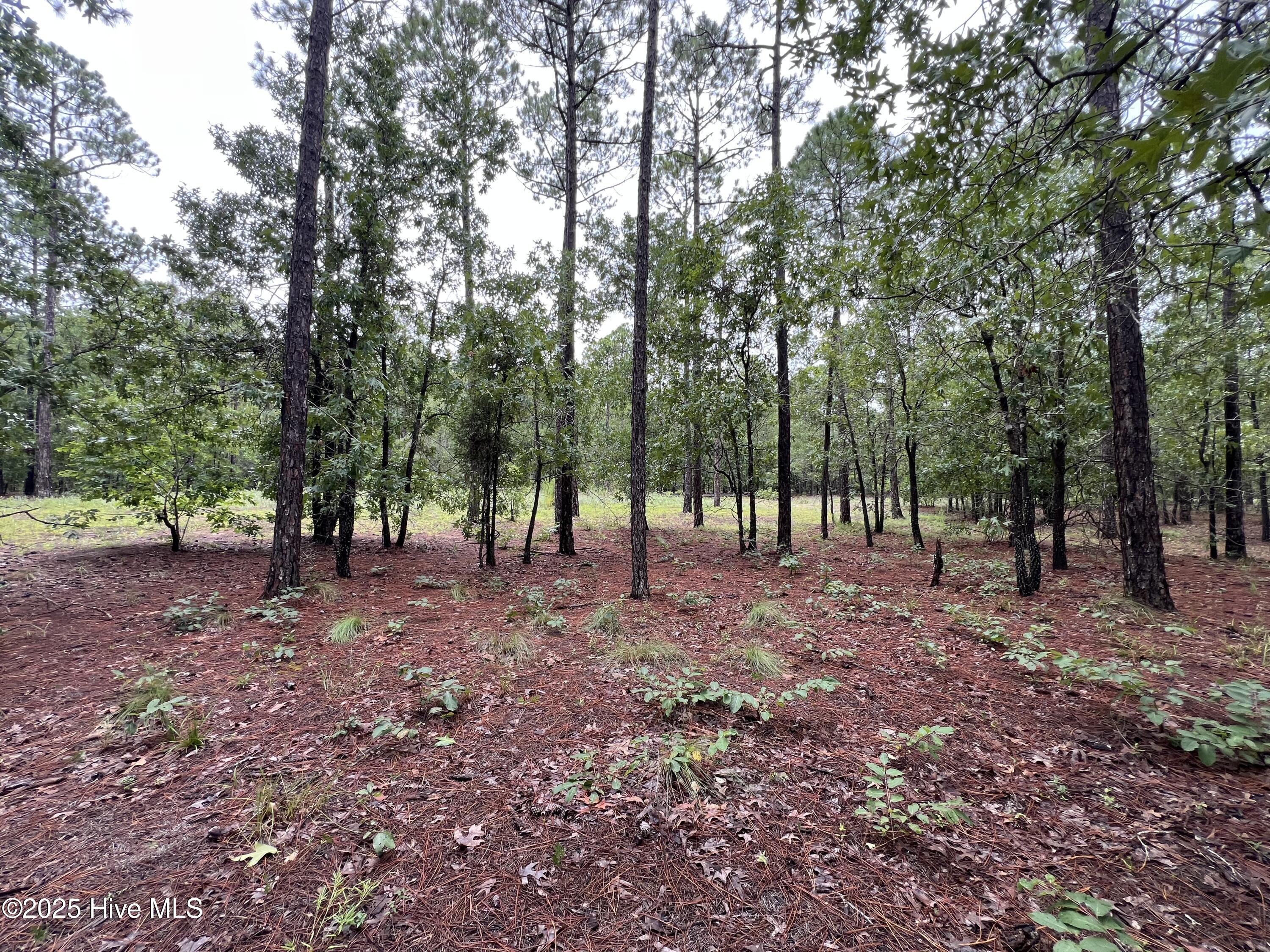 100527062 | Photo 17