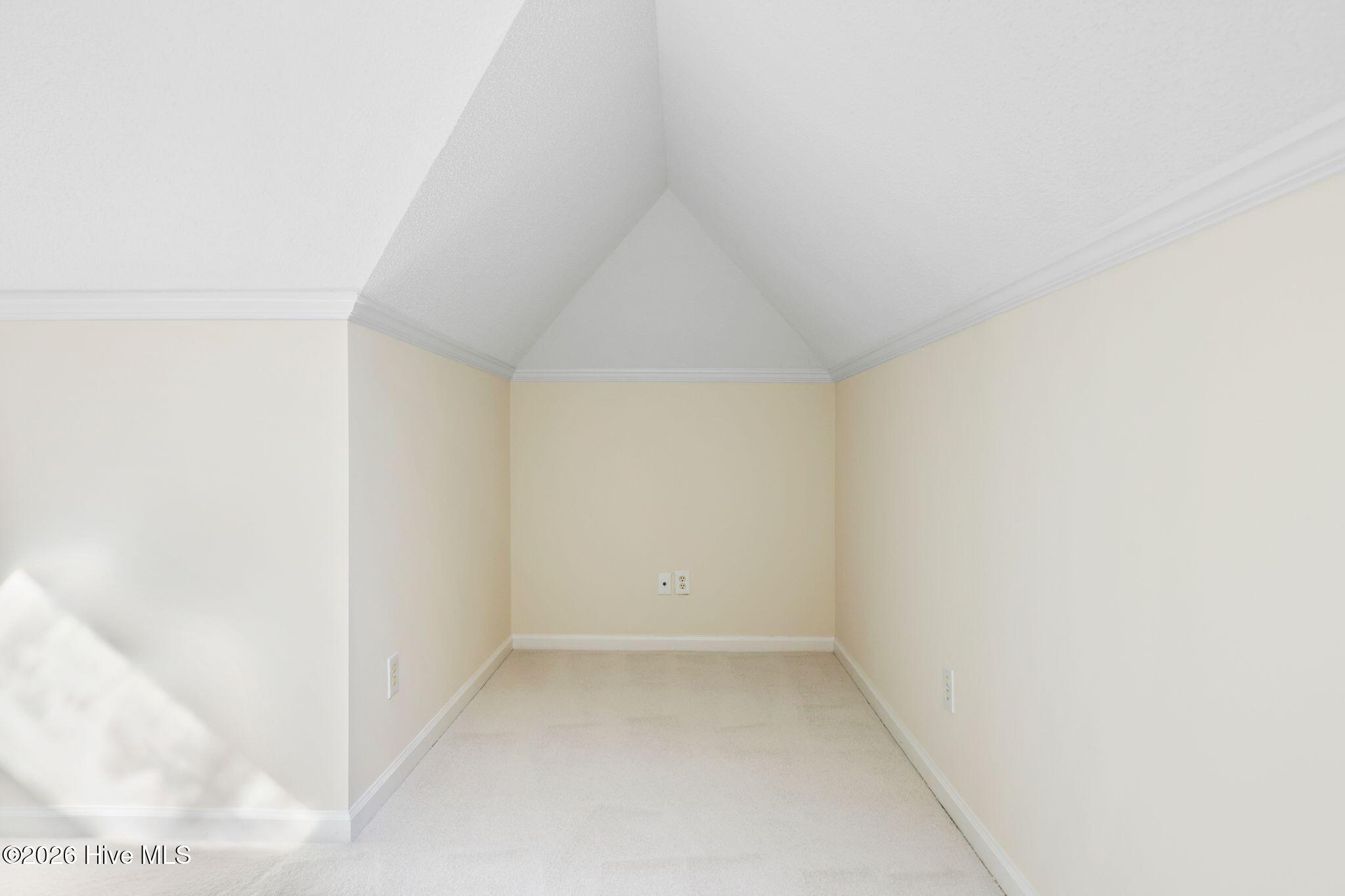 100558031 | Photo 43