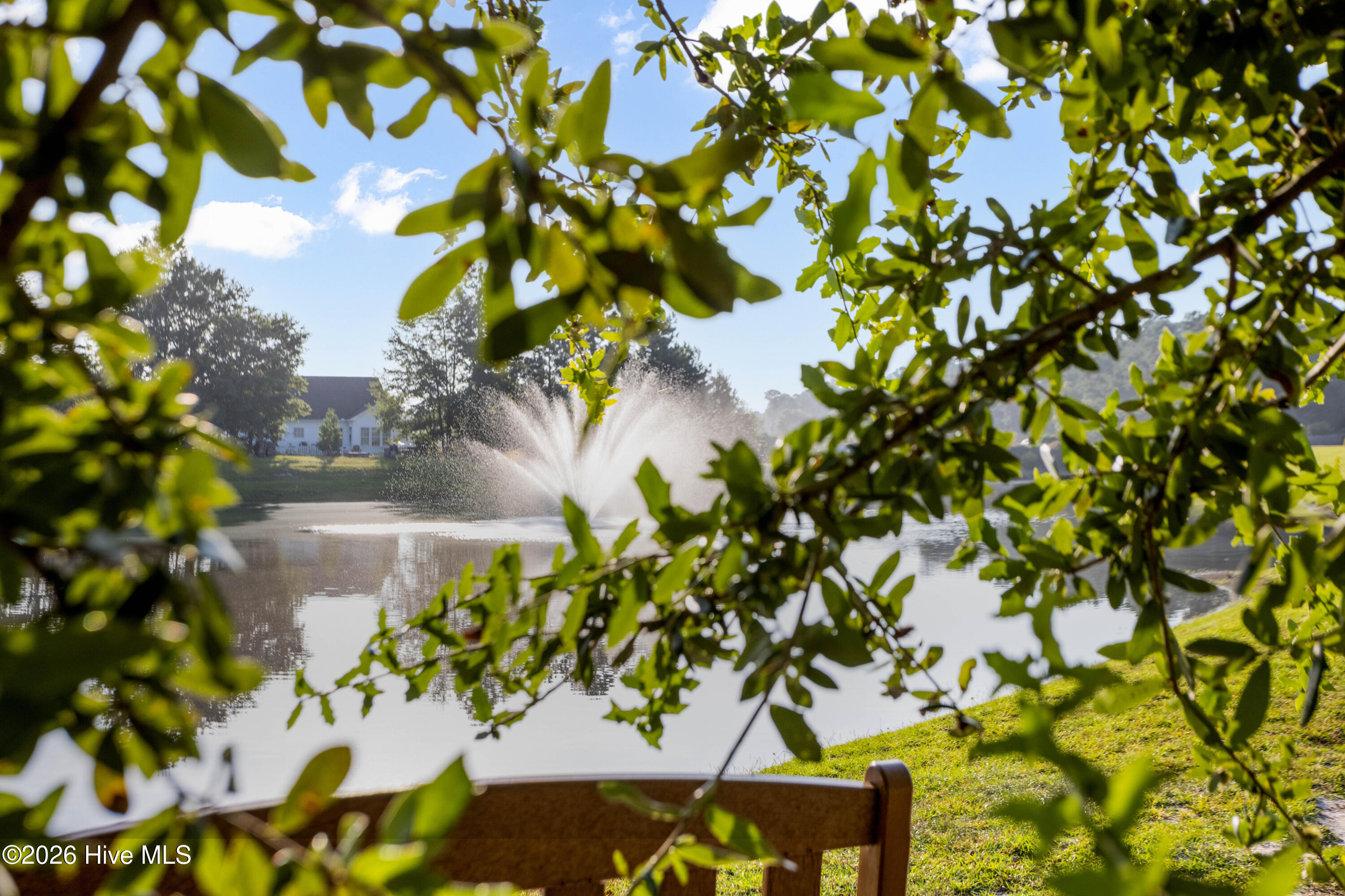 100554021 | Photo 55