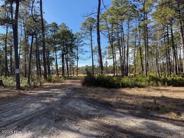 100554657 | Photo 13