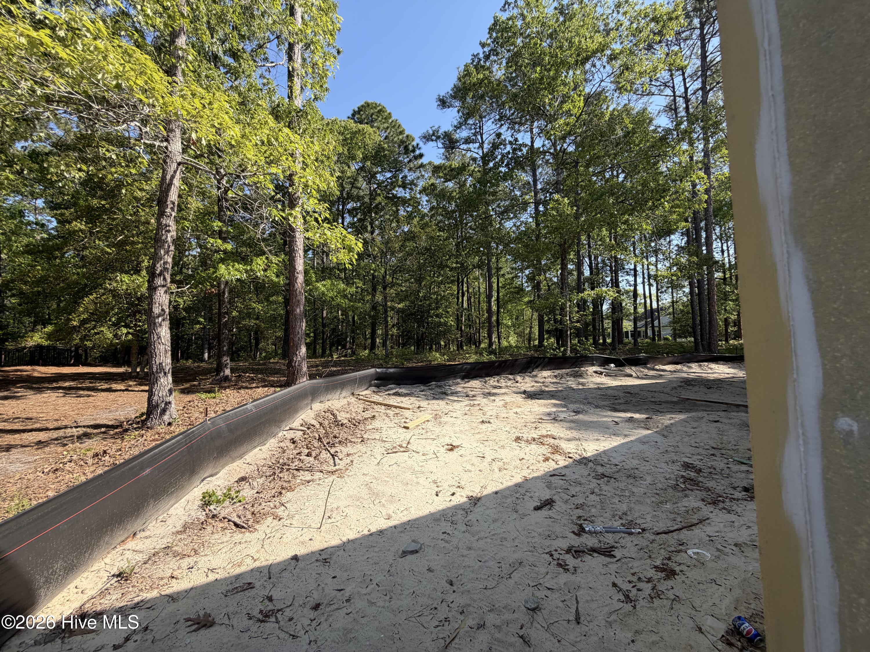 100543431 | Photo 21