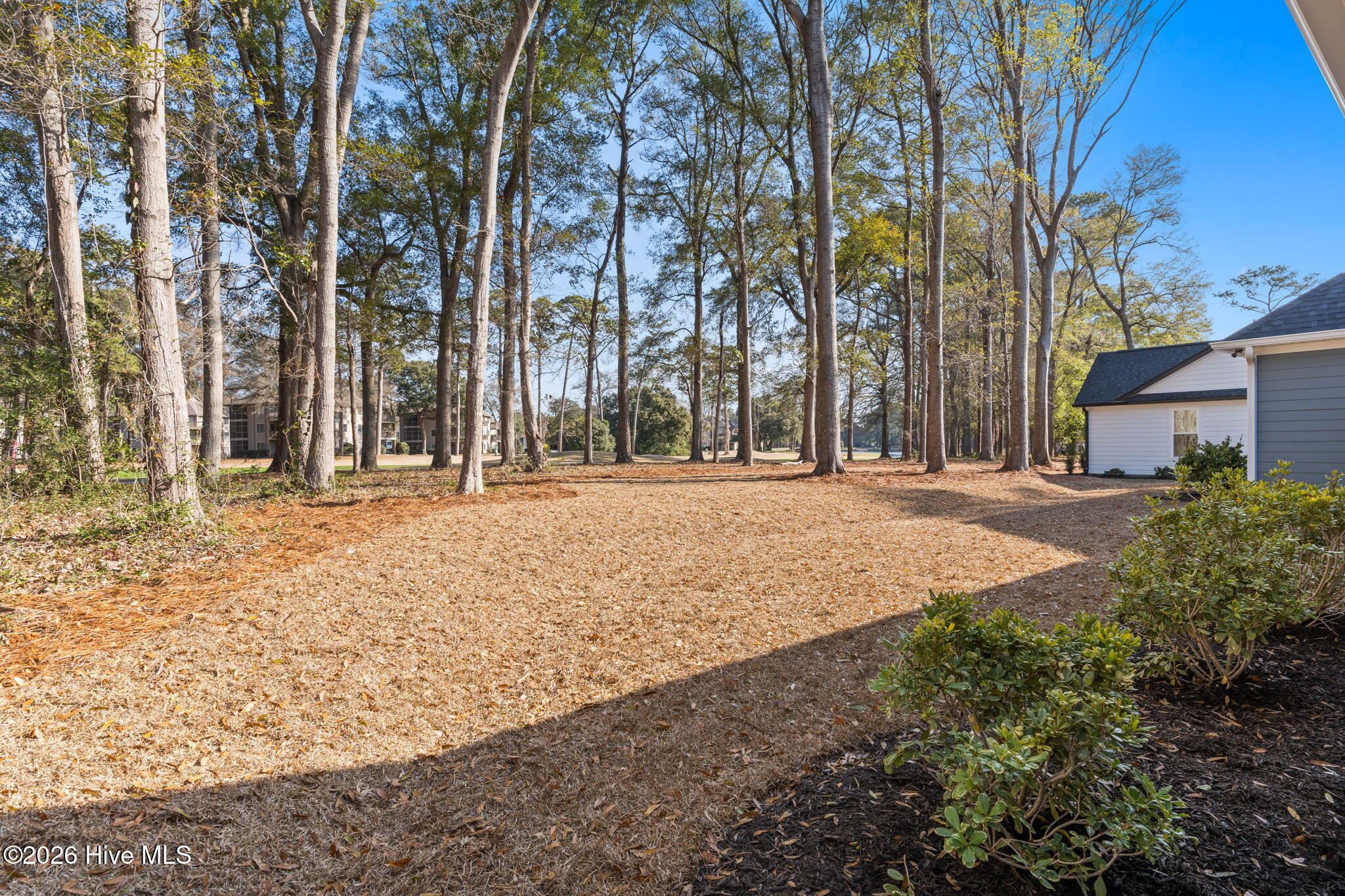 100558112 | Photo 49