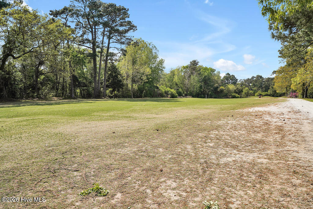 100567703 | Photo 43