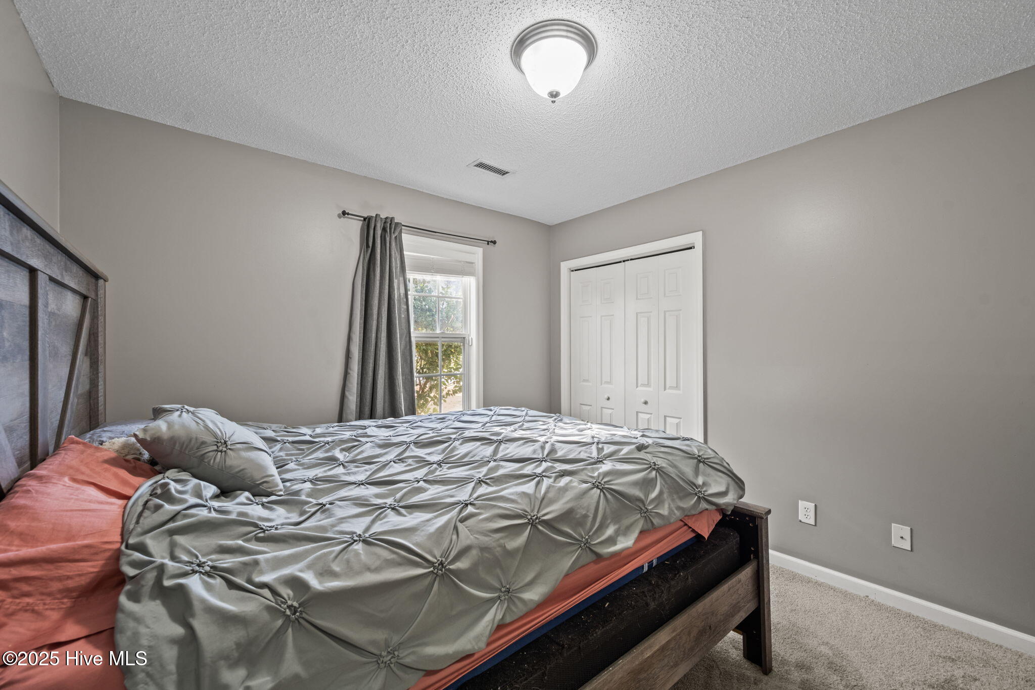 100546137 | Photo 26