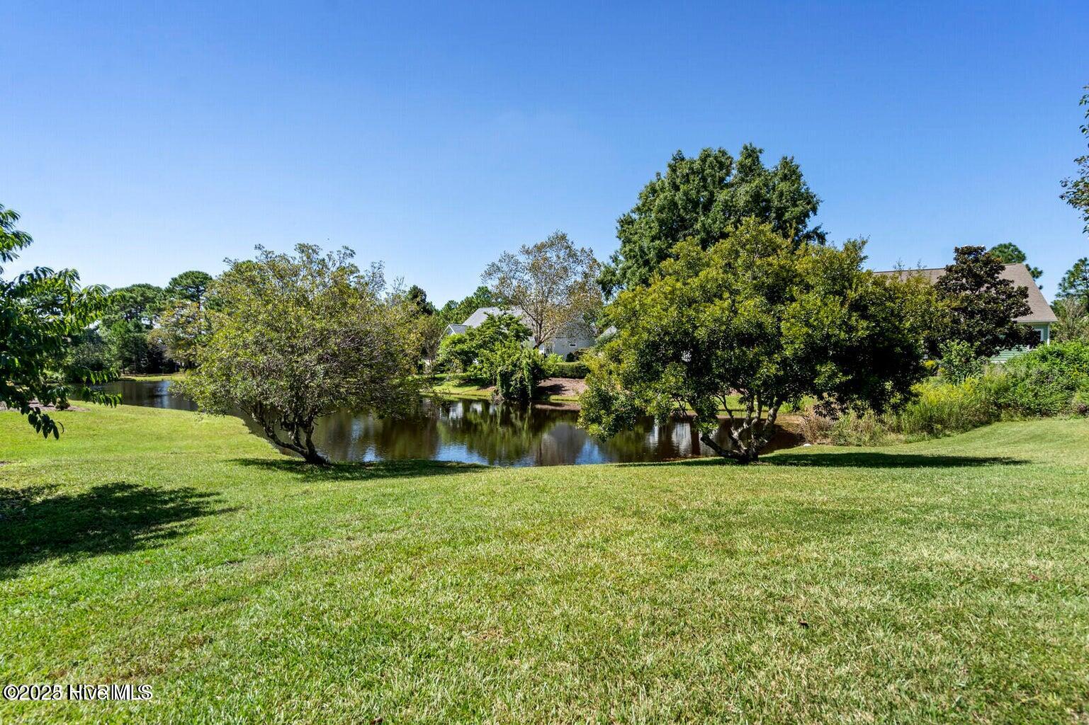 100561885 | Photo 72