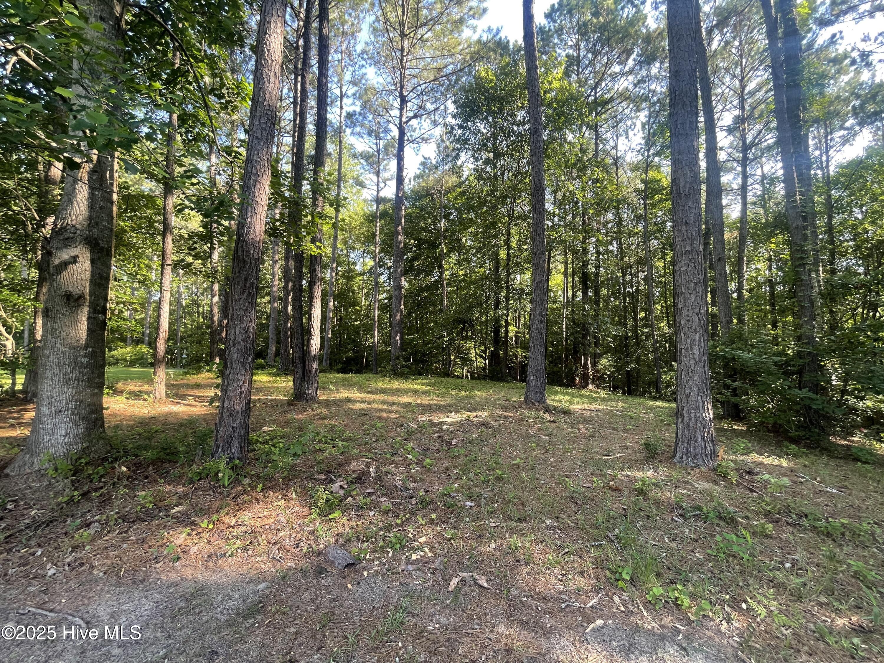 112 Chickory Lane, Minnesott Beach, NC, 28510