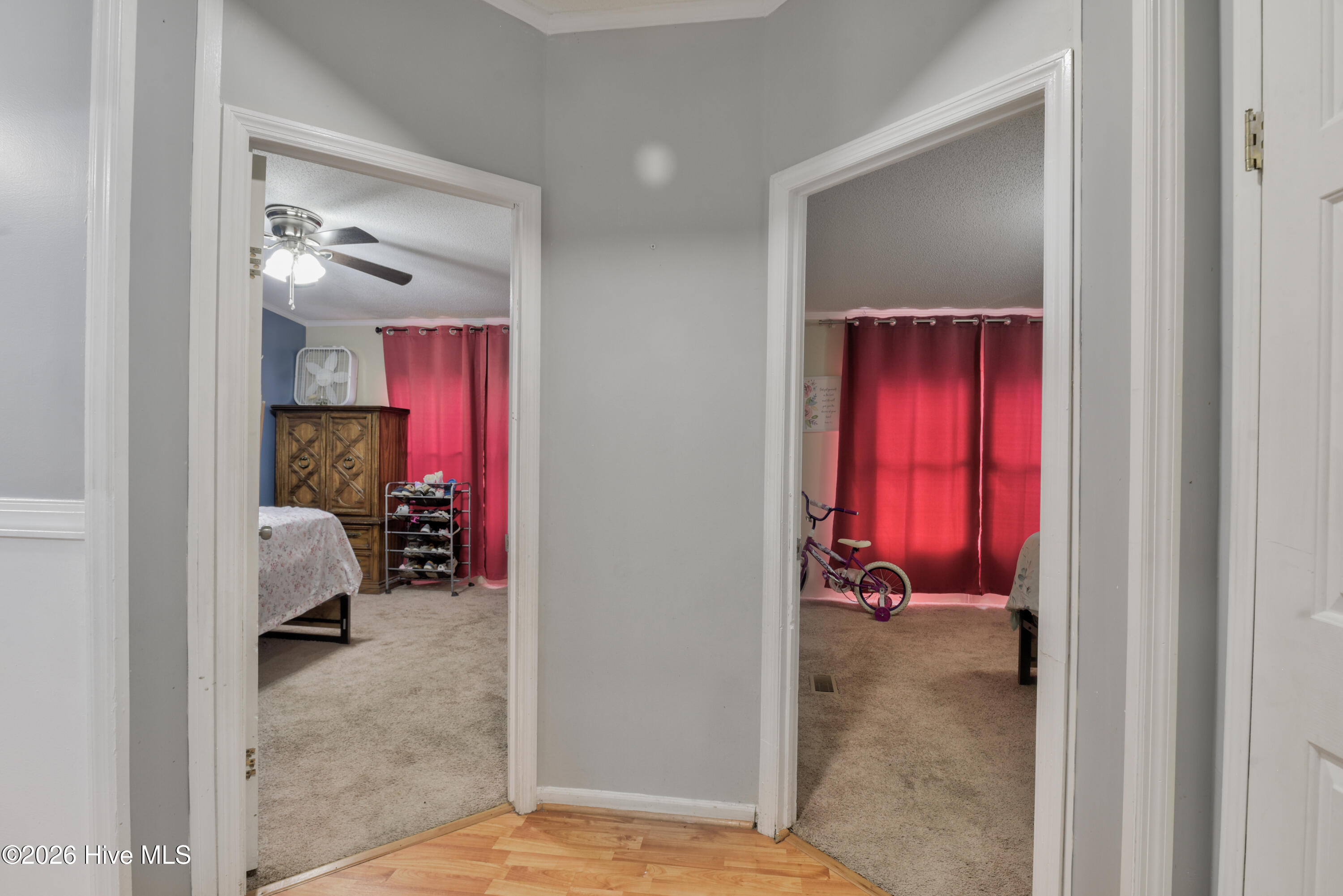 100566927 | Photo 20