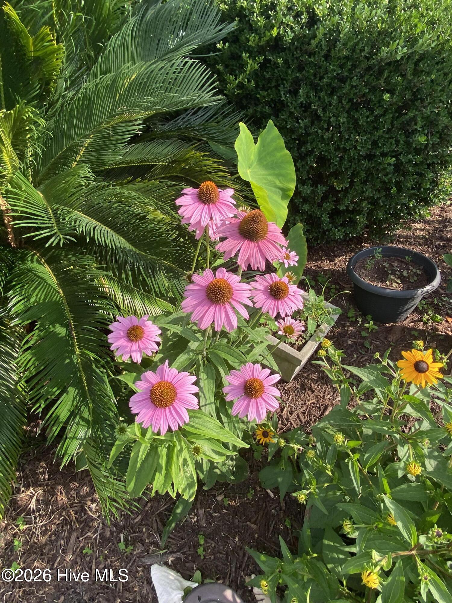 100566158 | Photo 63