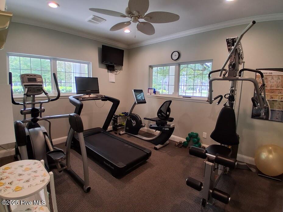 100534819 | Photo 29