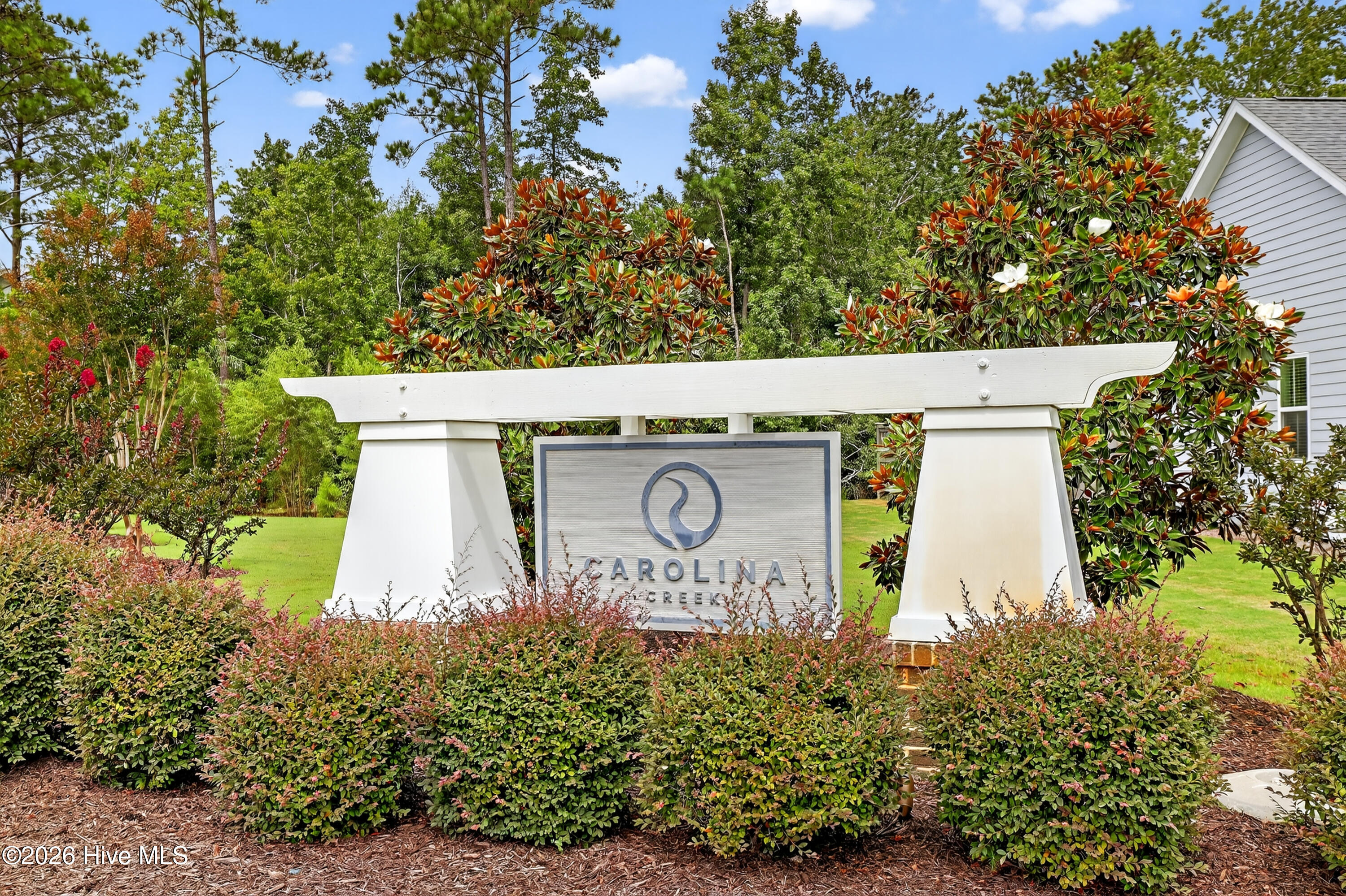 100564151 | Photo 42