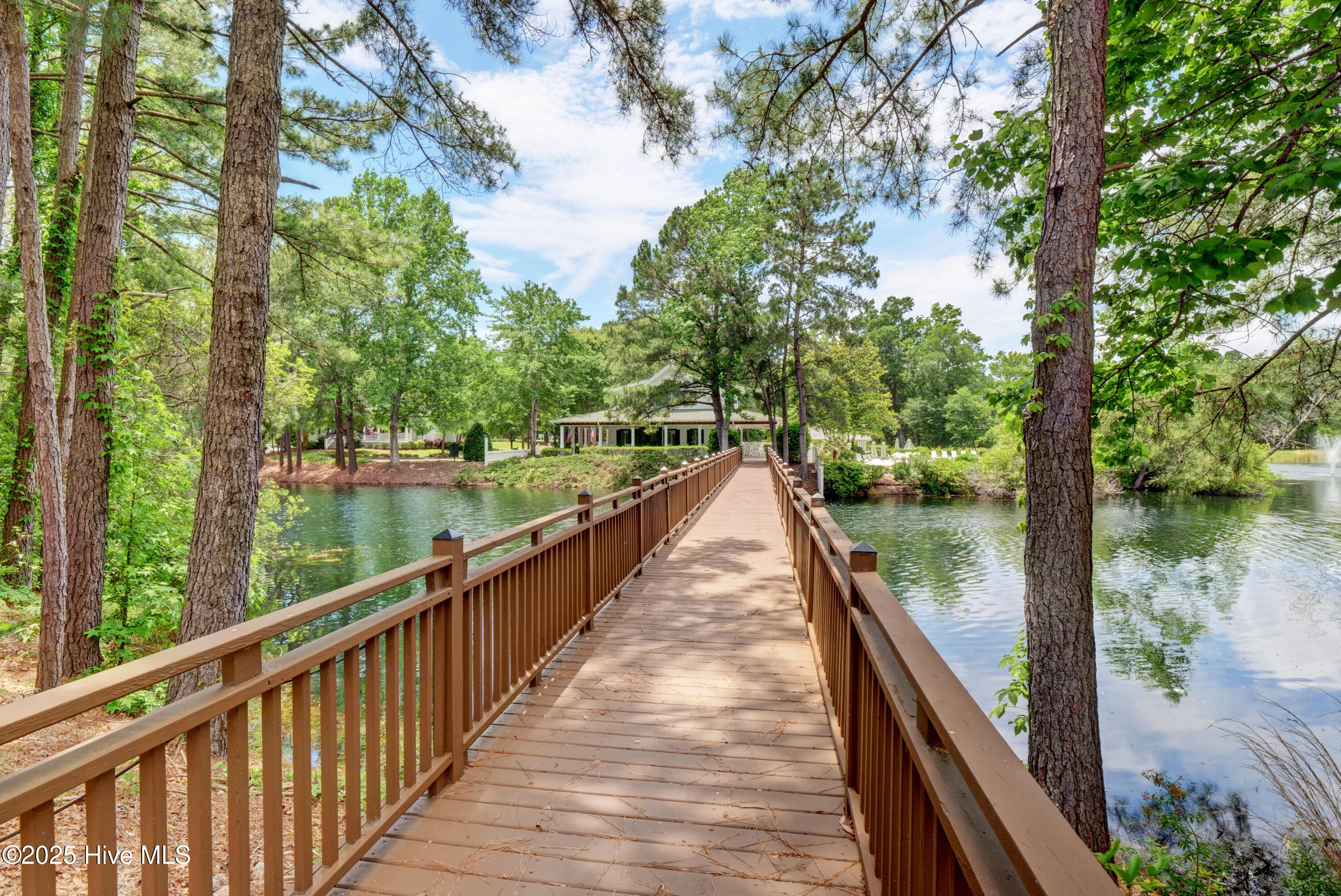 100517426 | Photo 54