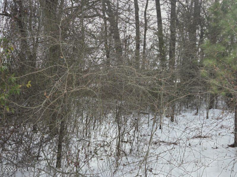 Homes for sale in Elizabethtown, NC | 101 Esterville Rd, Elizabethtown, NC 28337 | MLS# 100556662