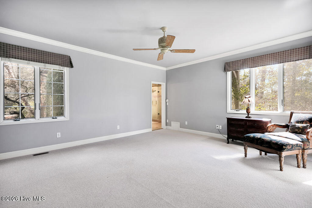 100564190 | Photo 35