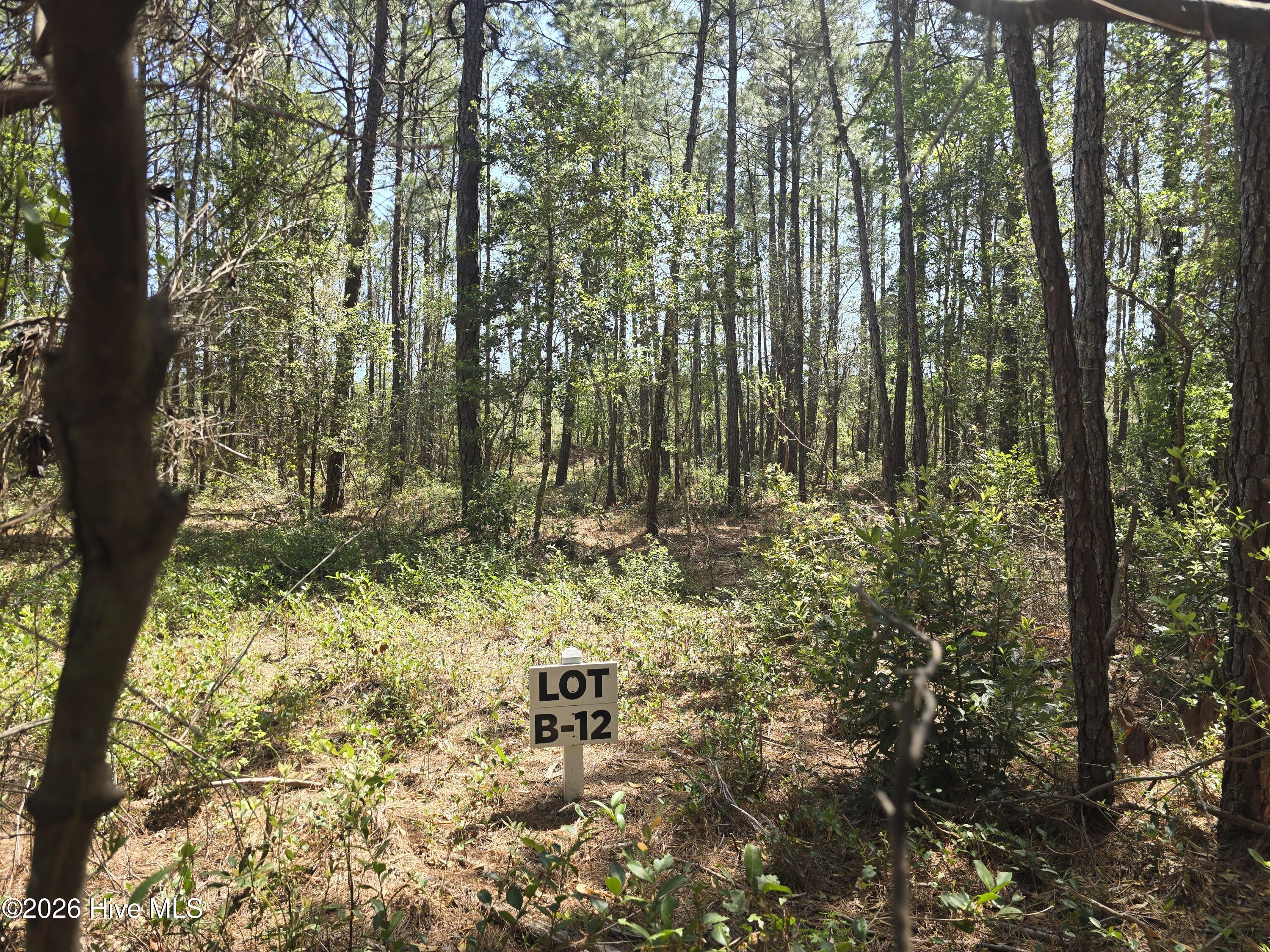 Lot B-12 Renee Drive, Hampstead, NC, 28443