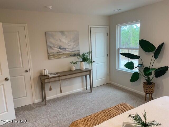 100563156 | Photo 12