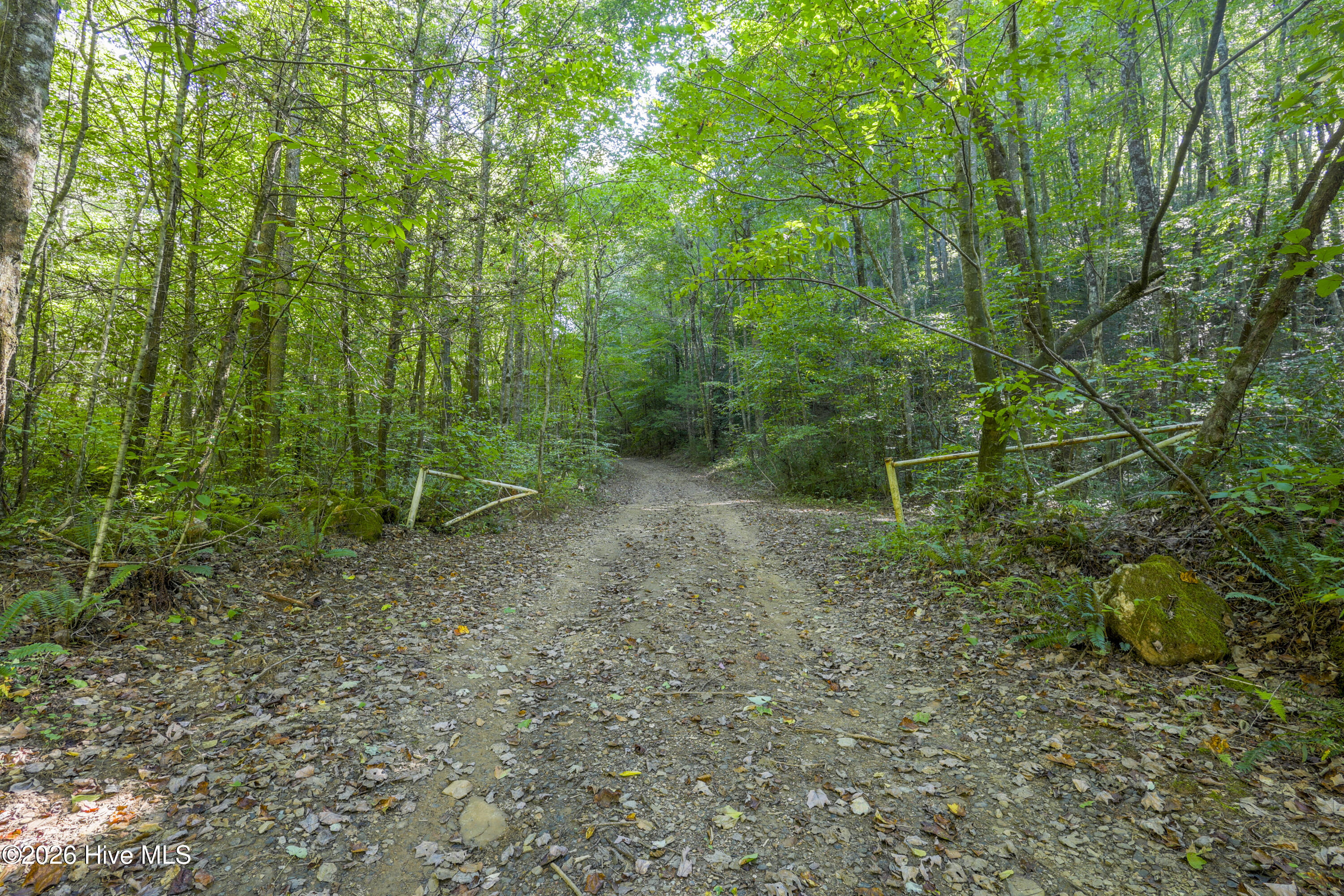 100604016 | Photo 2
