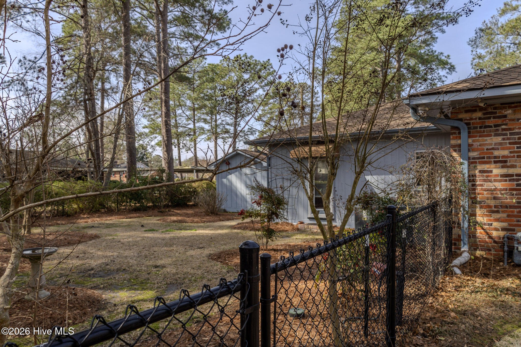 100561146 | Photo 20