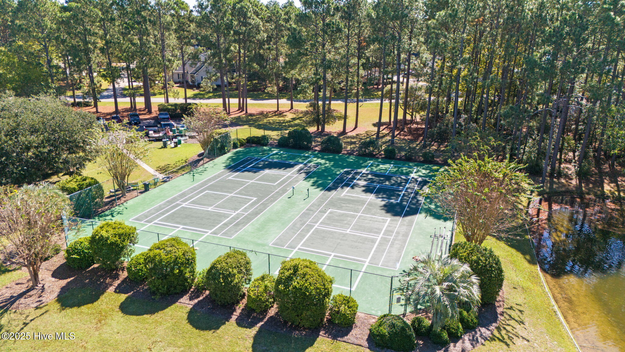 100539831 | Photo 43