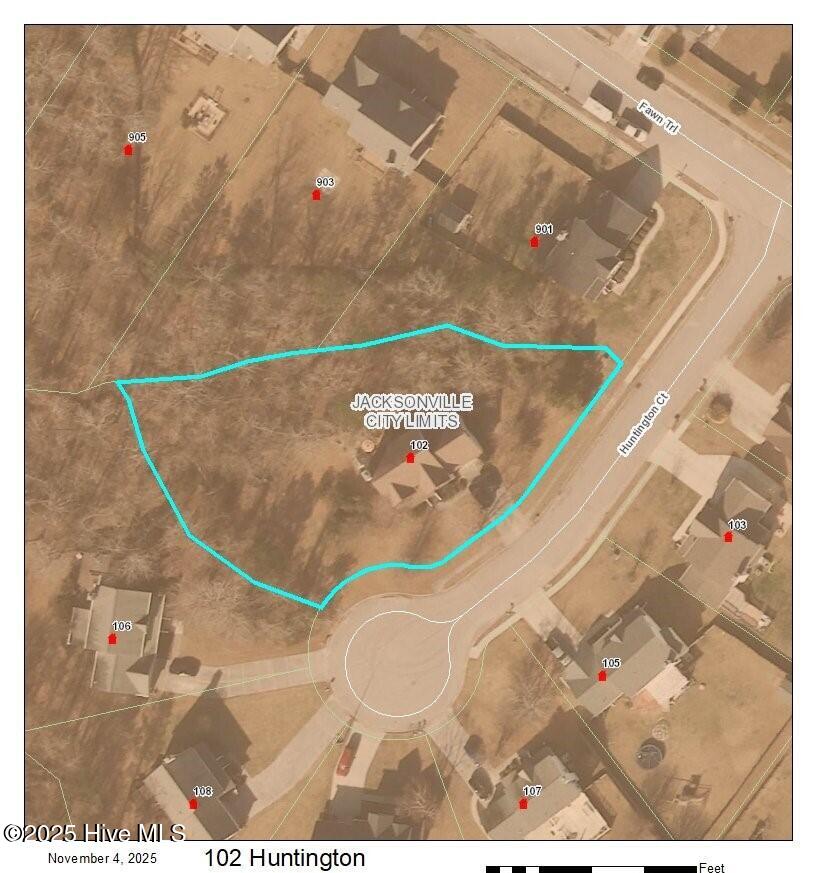 100539589 | Photo 38