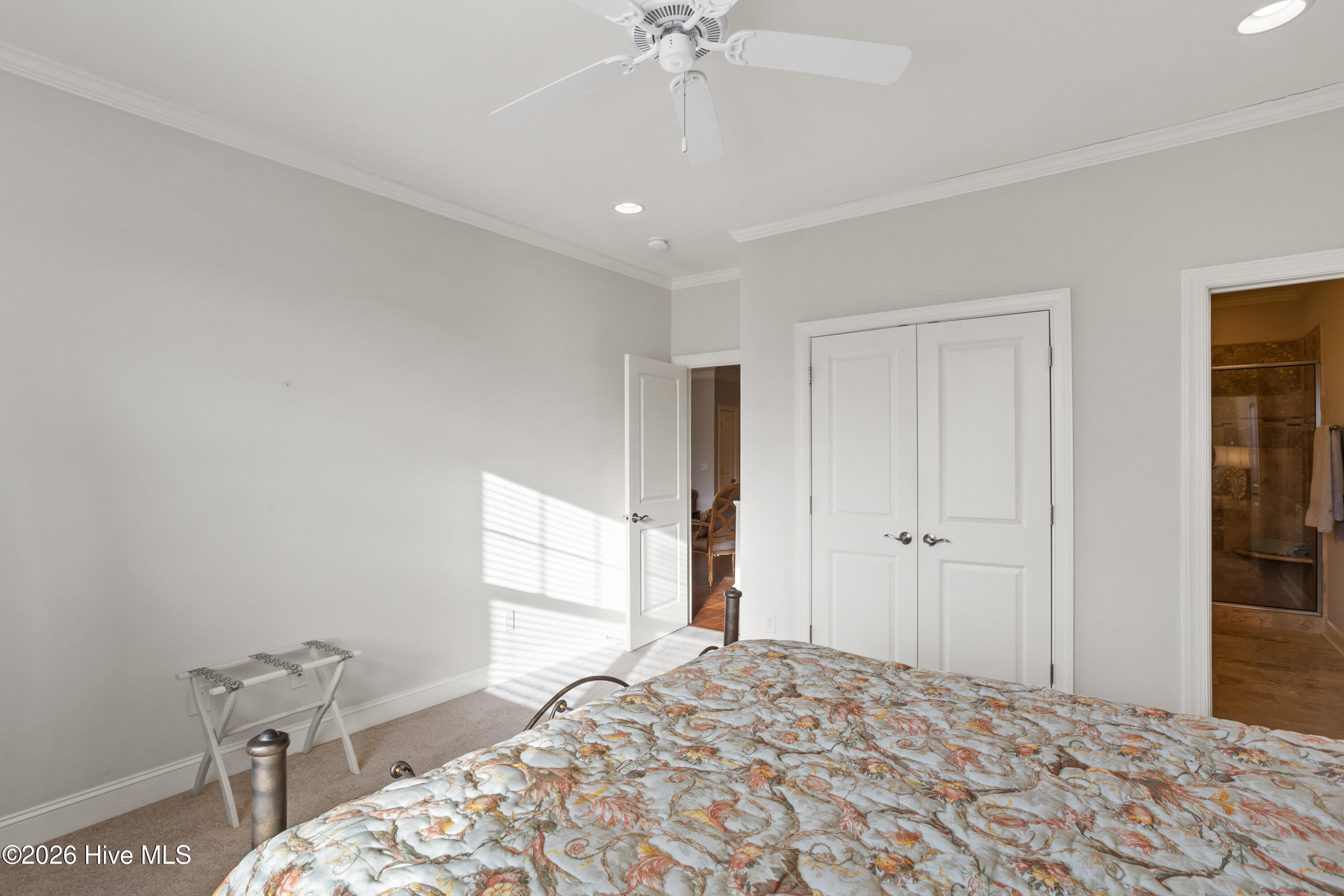 100565451 | Photo 41