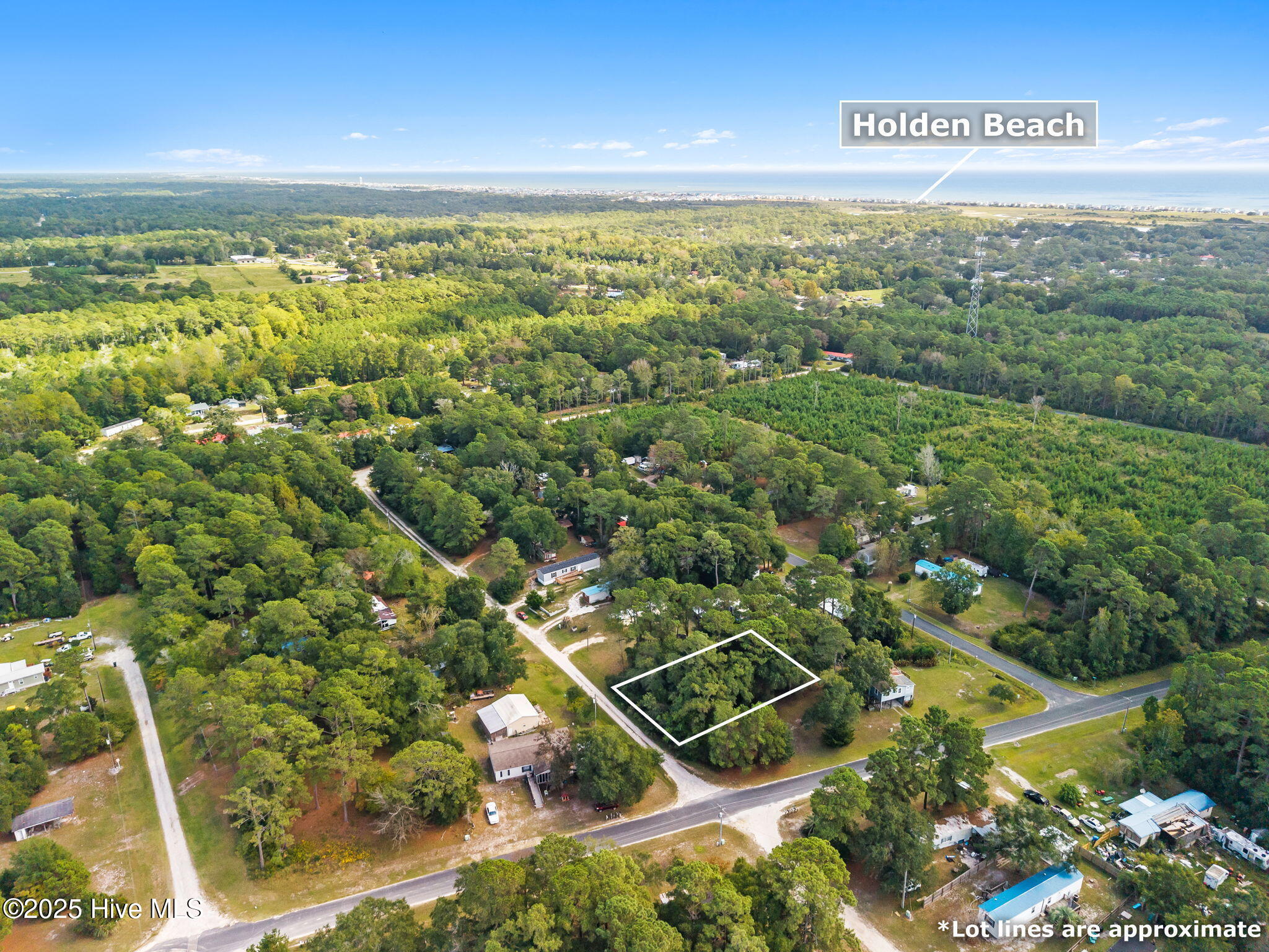 100535814 | Photo 18