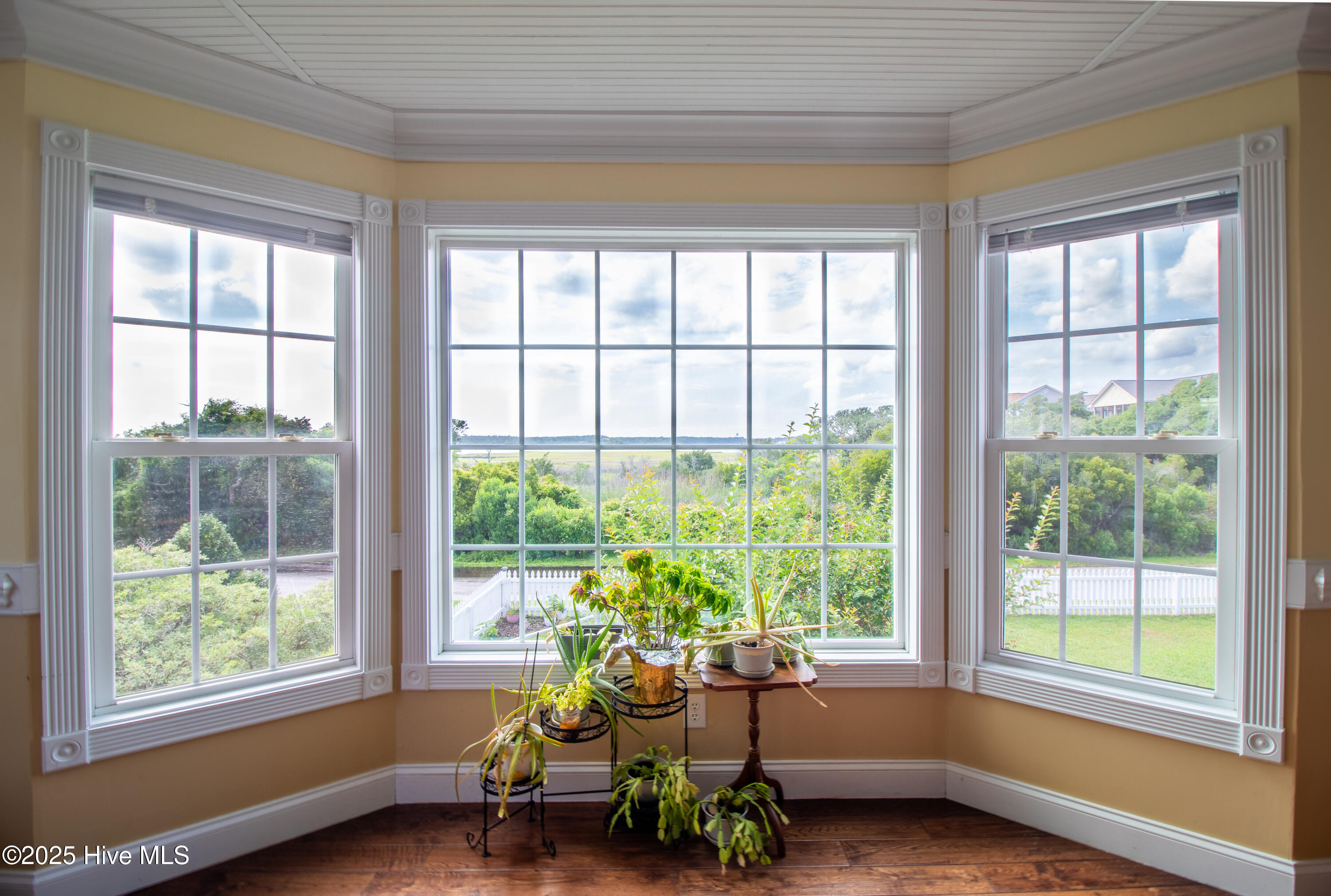 100535600 | Photo 27