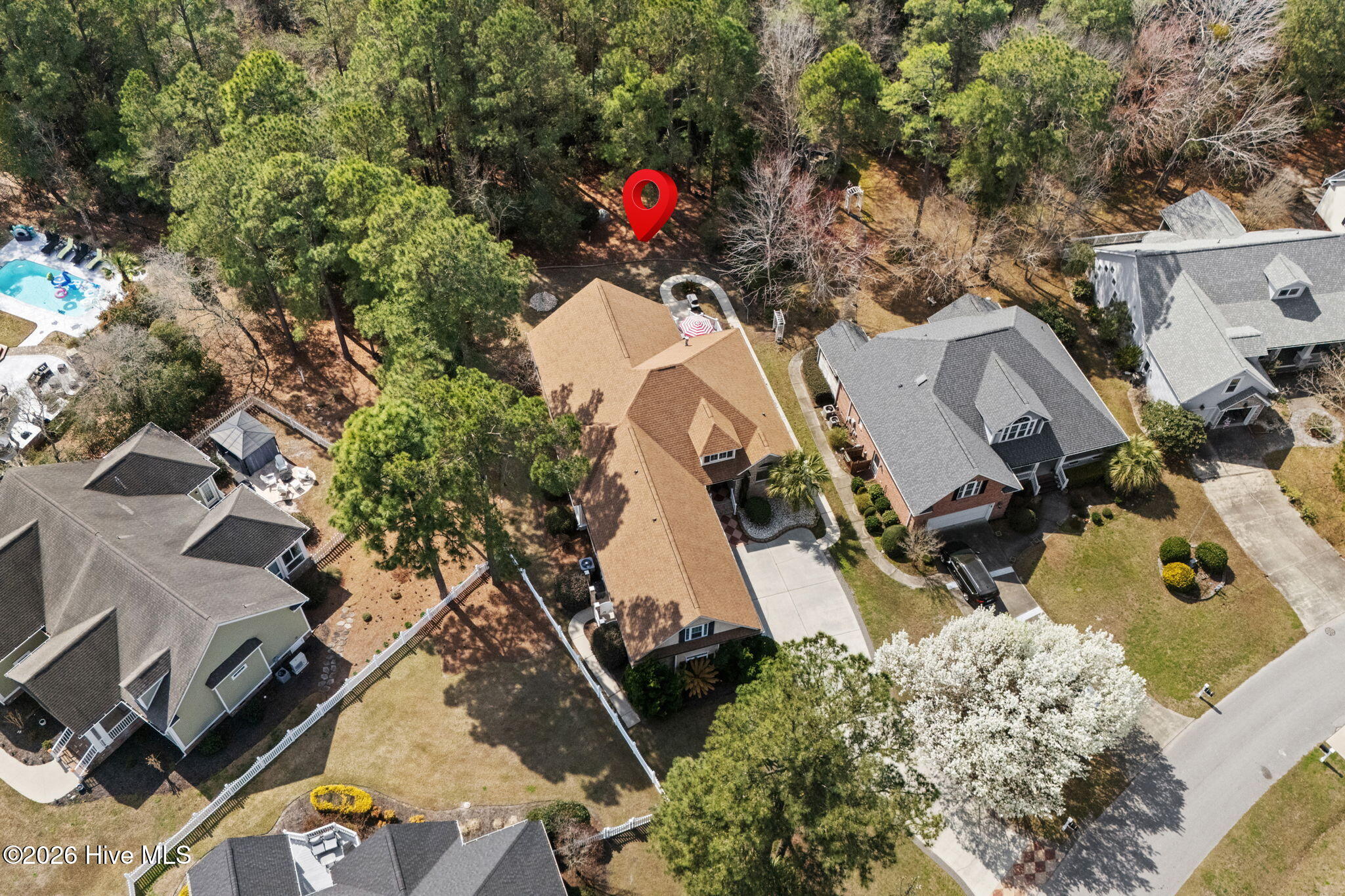 100565565 | Photo 55