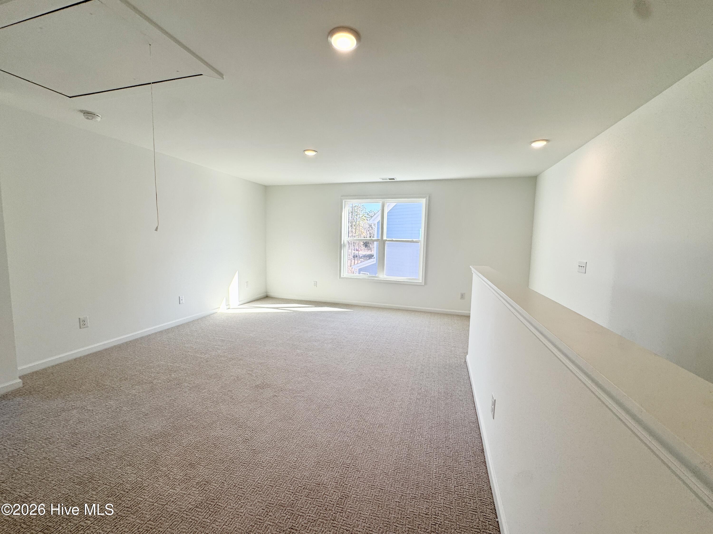 100516667 | Photo 13