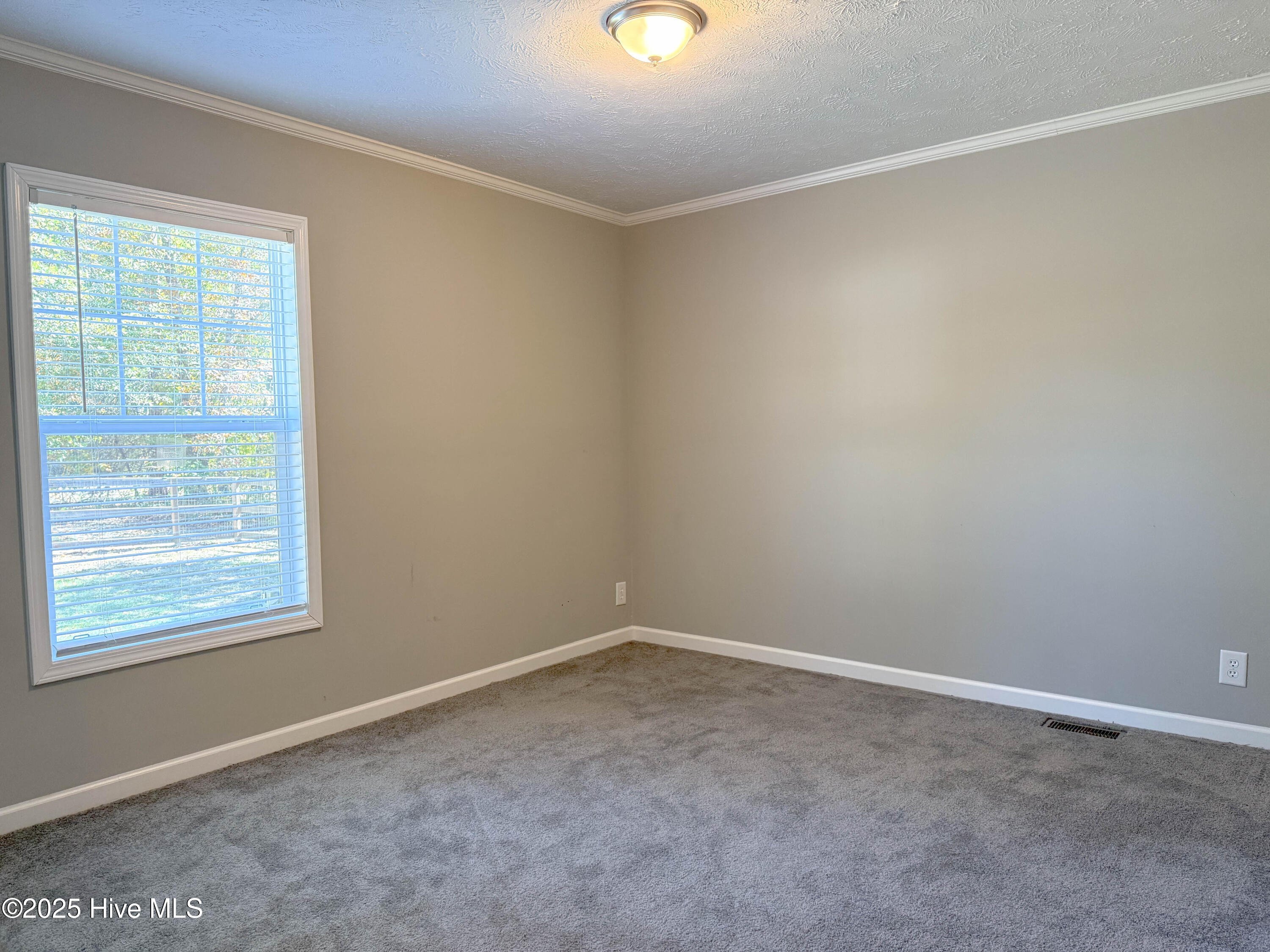 100540094 | Photo 49