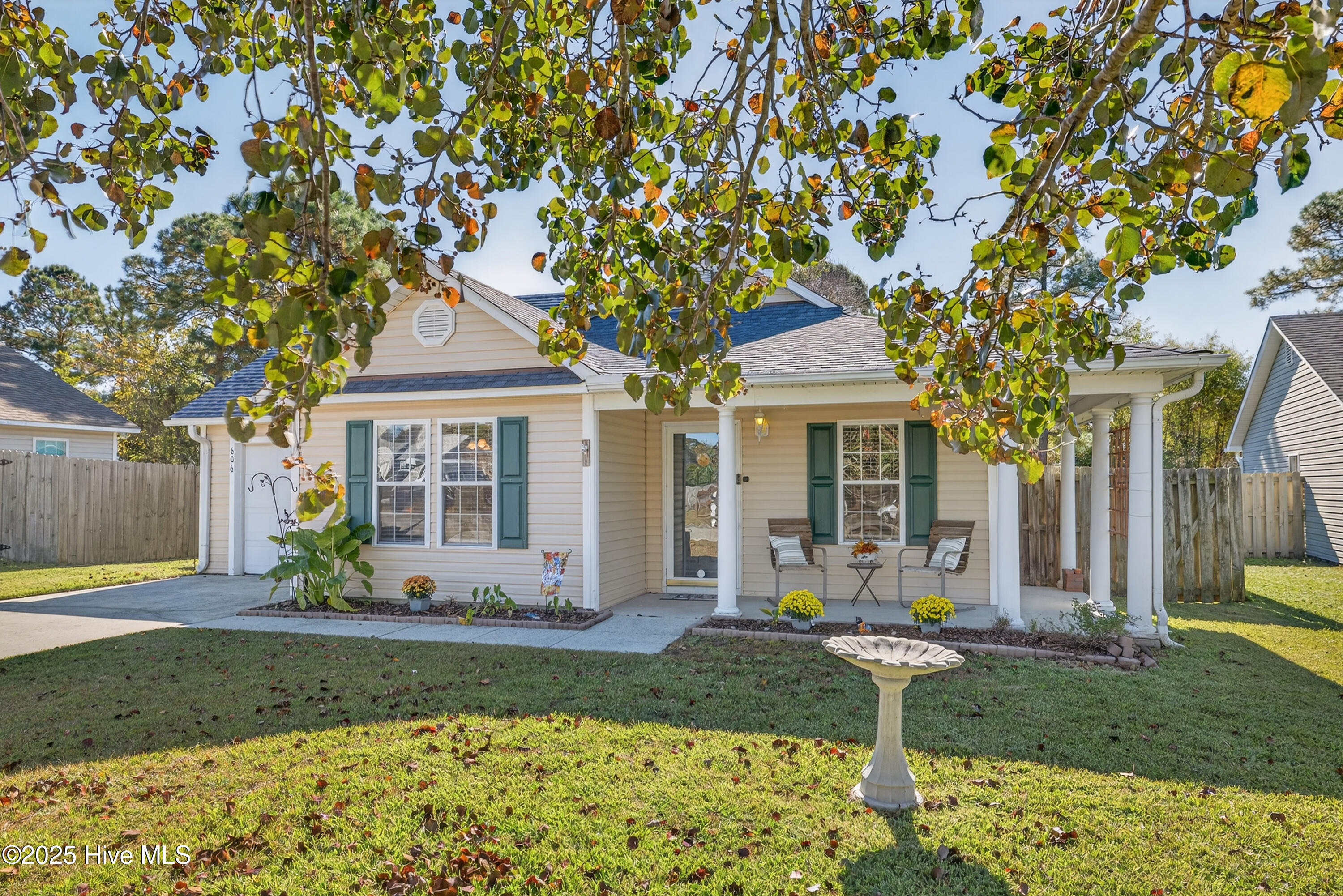 100541266 | Photo 27