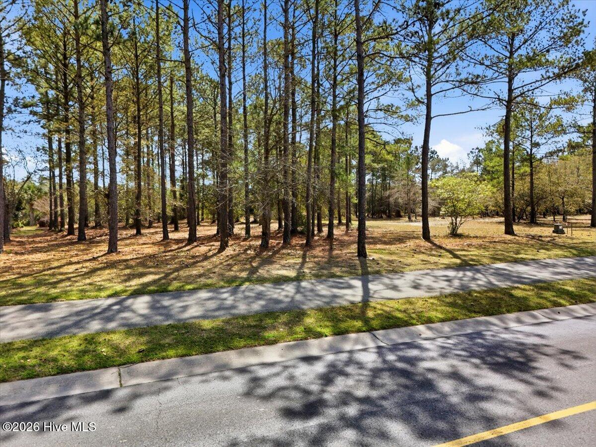 100563652 | Photo 12