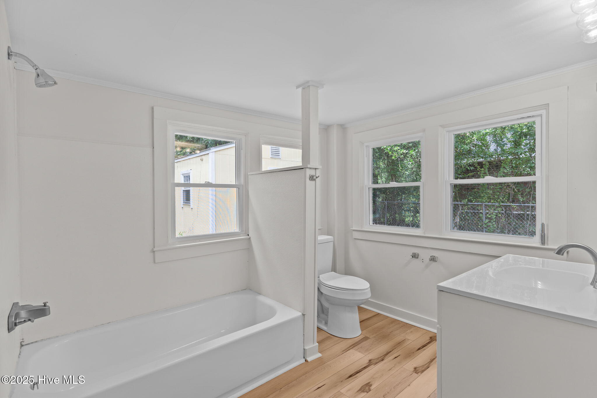 100556871 | Photo 33