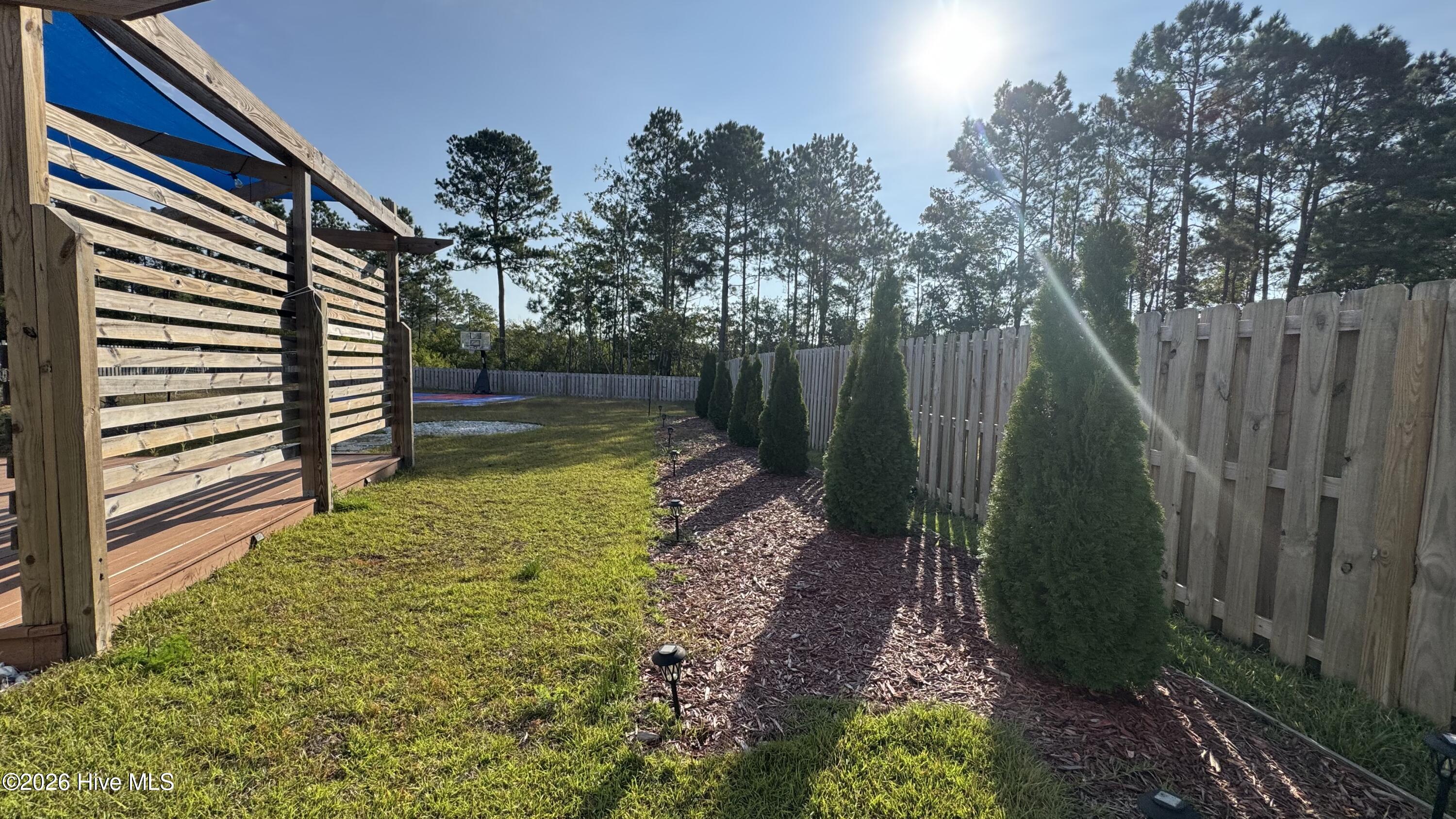 100562779 | Photo 34