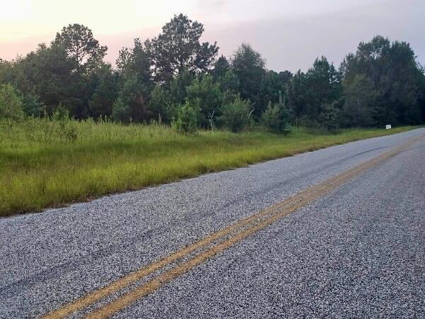 Homes for sale in Waynesboro, GA | 300 Home Tract Rd, Waynesboro, GA 30830 | MLS# 549263