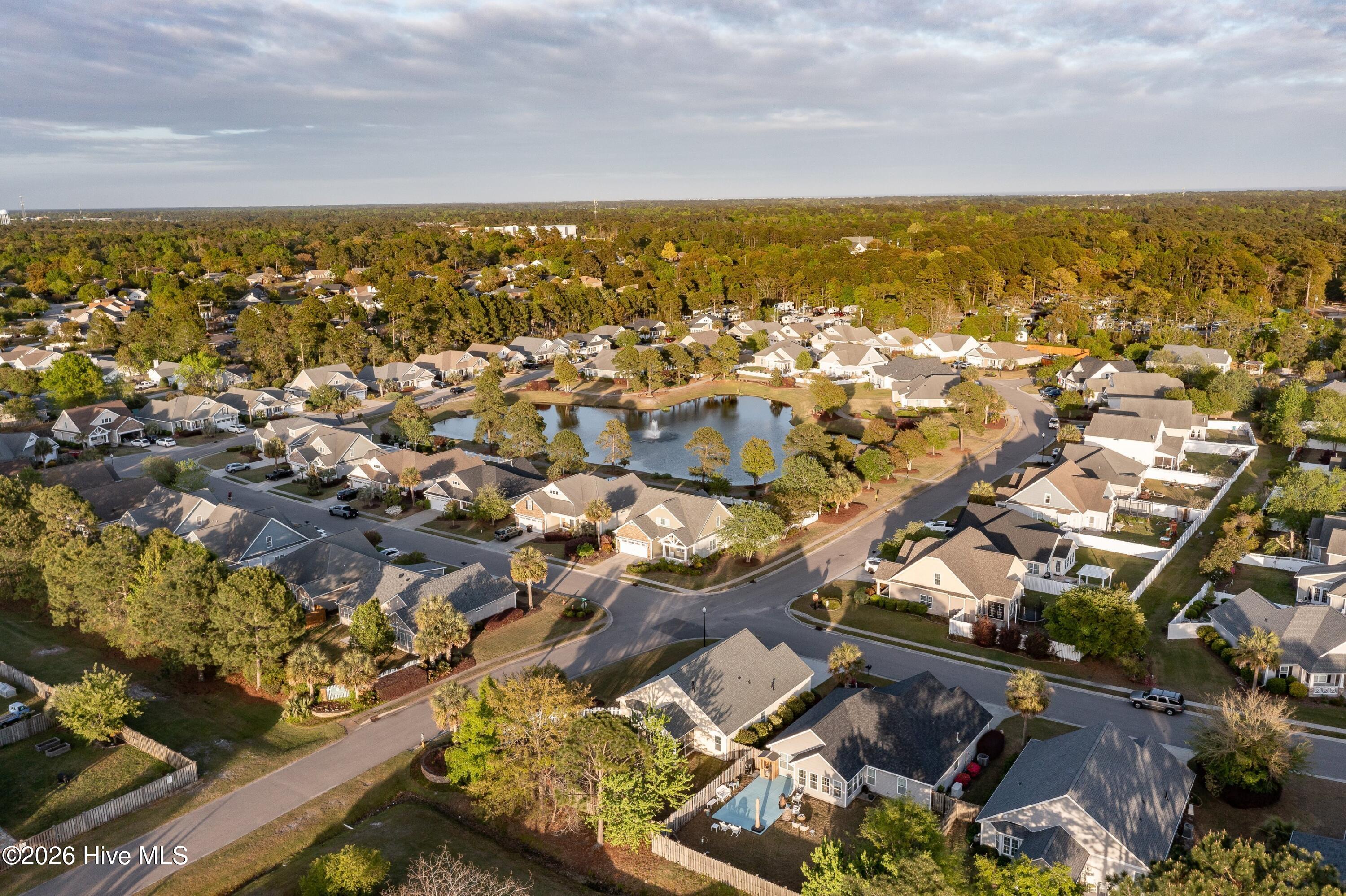 100566210 | Photo 41