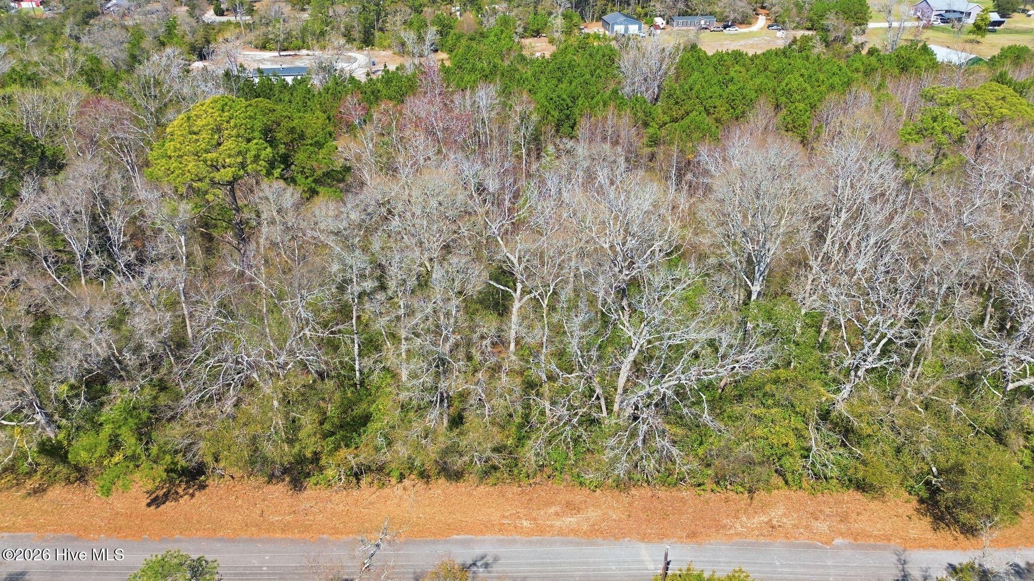 100560121 | Photo 19