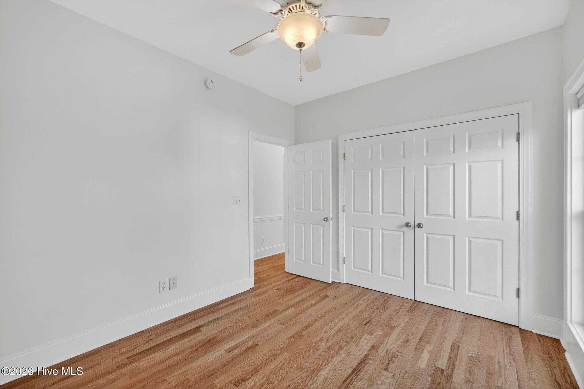 100551294 | Photo 17