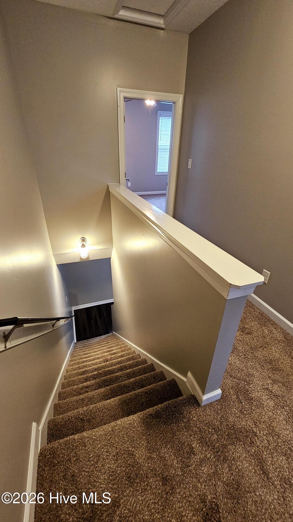 100568615 | Photo 10