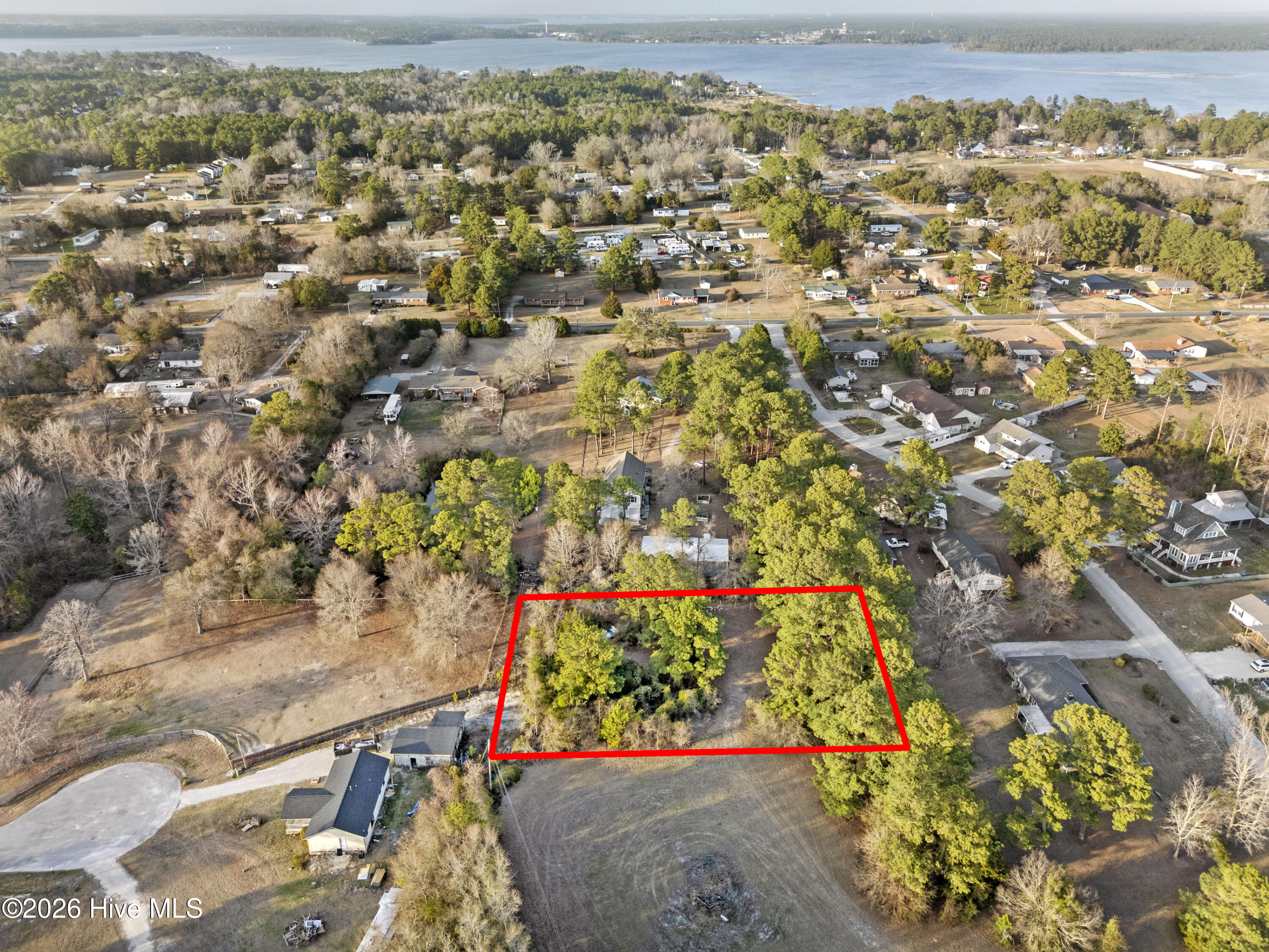 100559198 | Photo 11