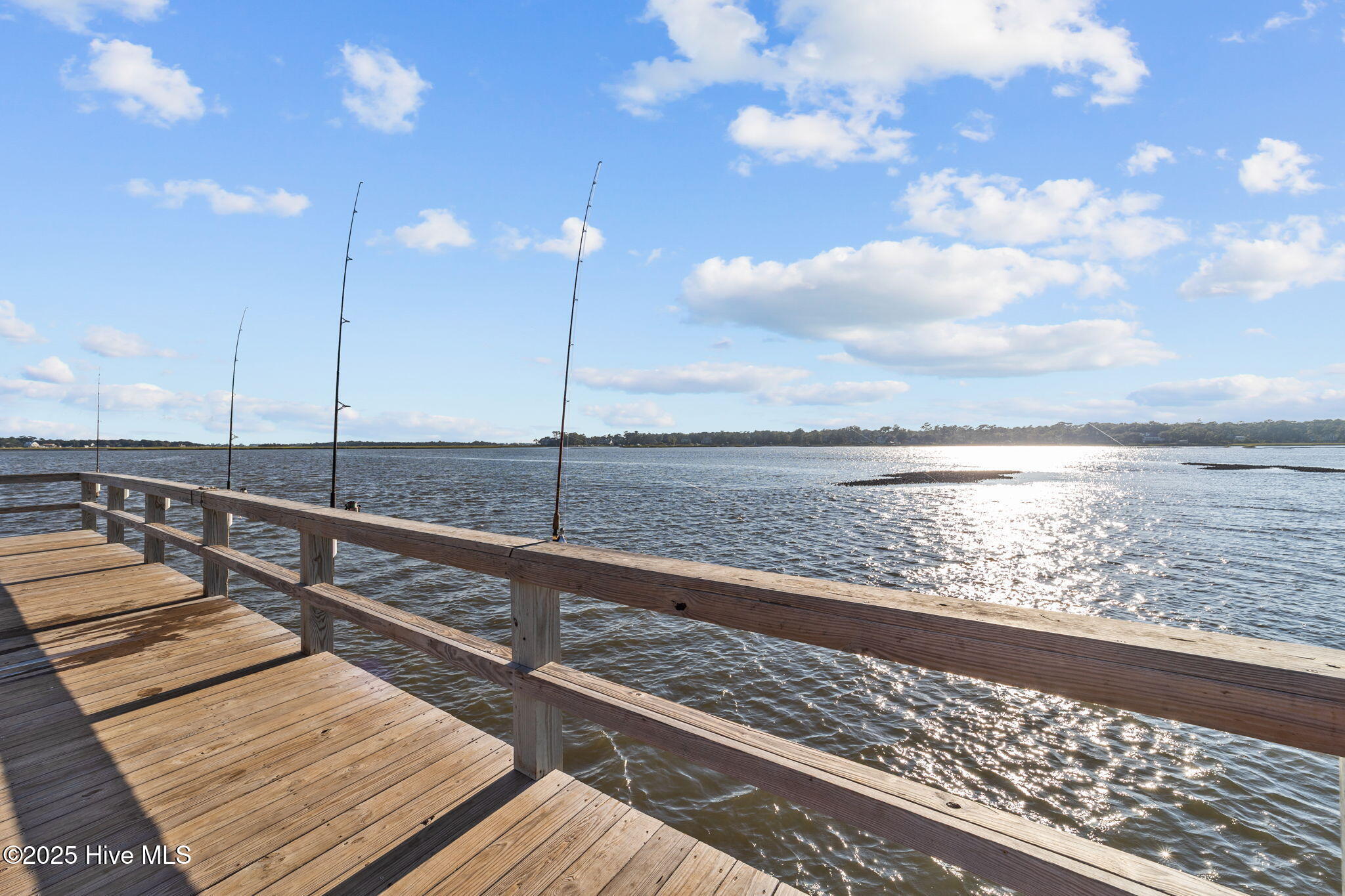 100533176 | Photo 17