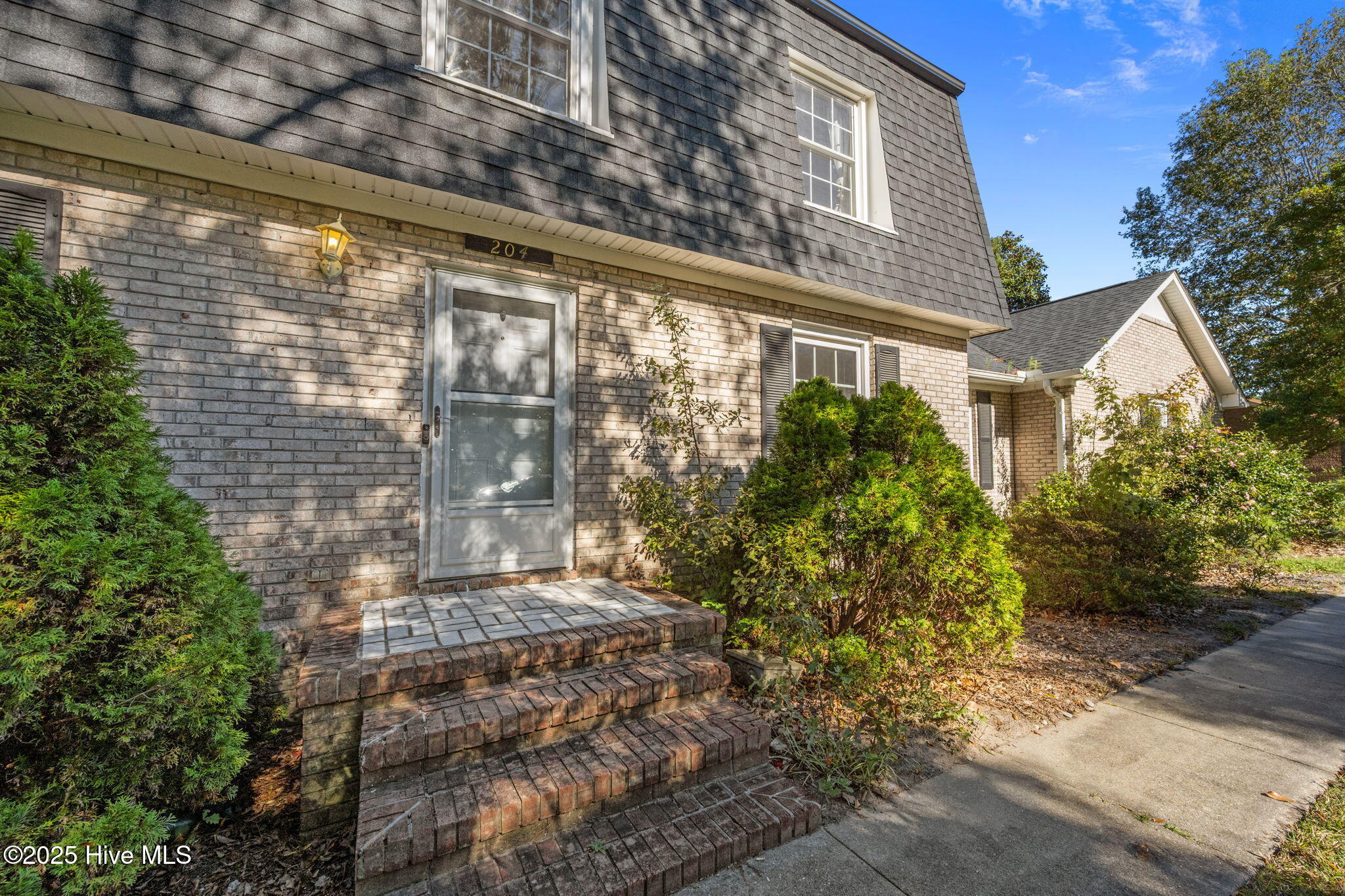 100537375 | Photo 38