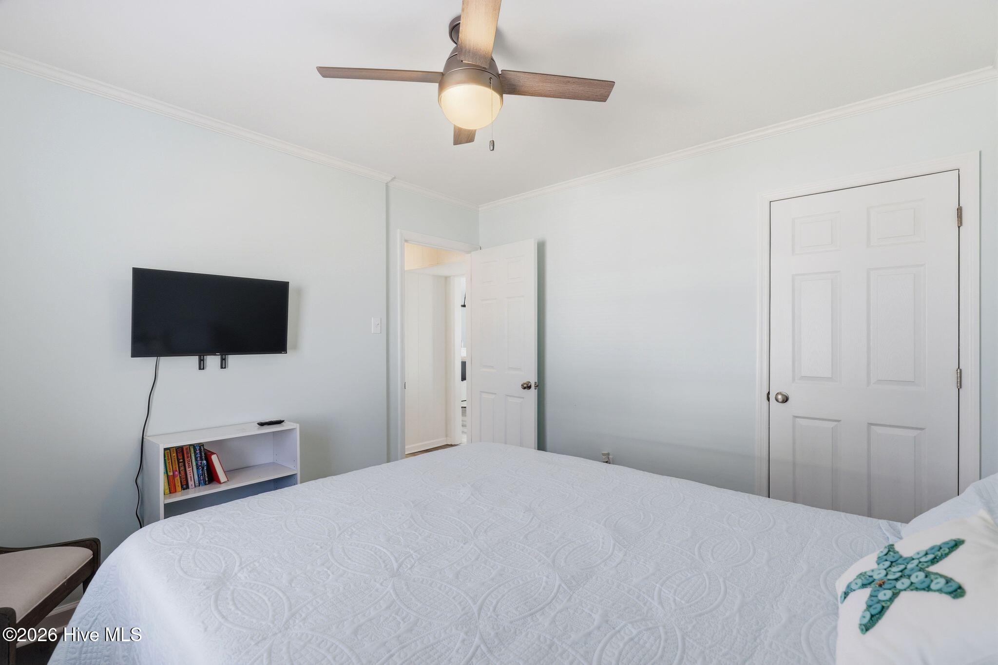 100558178 | Photo 28