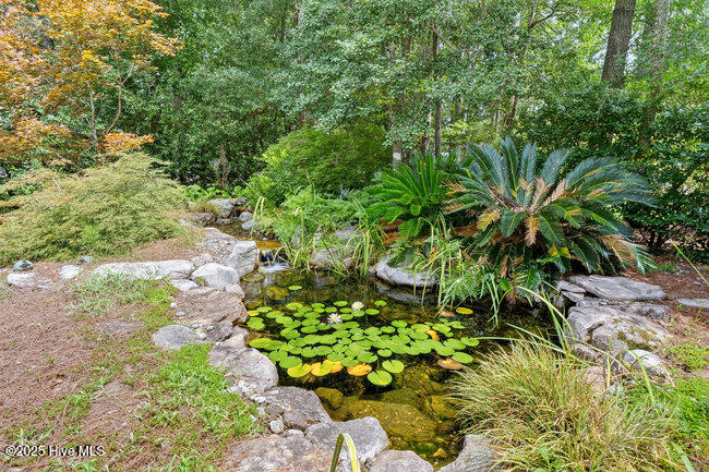 100527841 | Photo 23