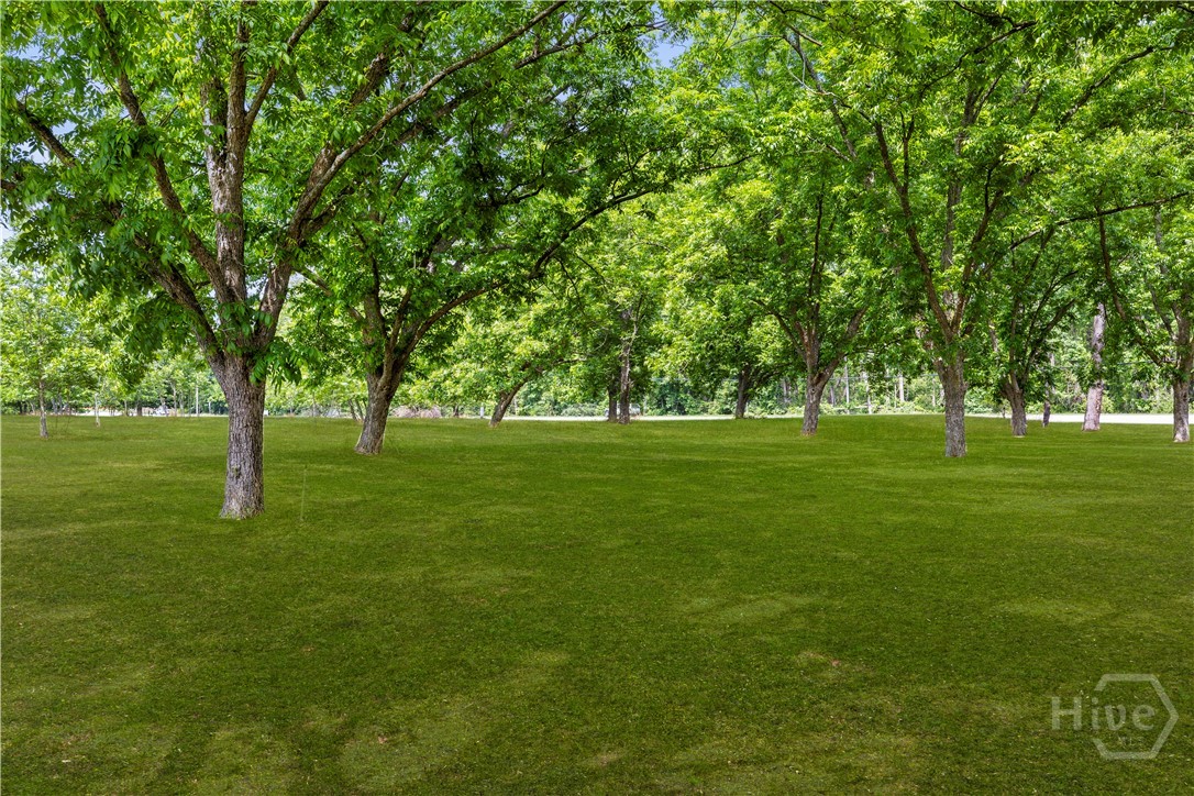 11959 US 301 Highway N, Claxton, GA, 30417