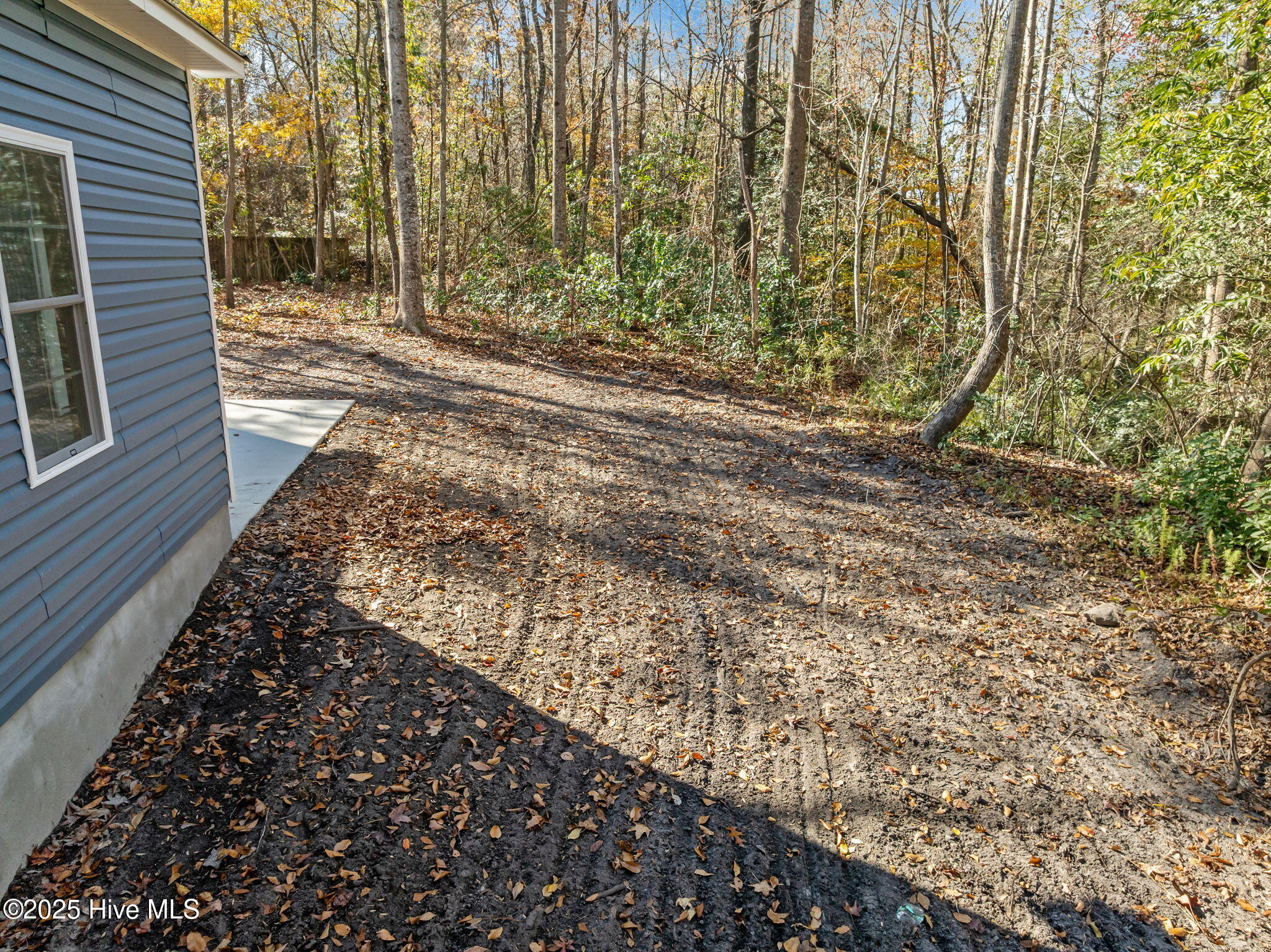 100545832 | Photo 48