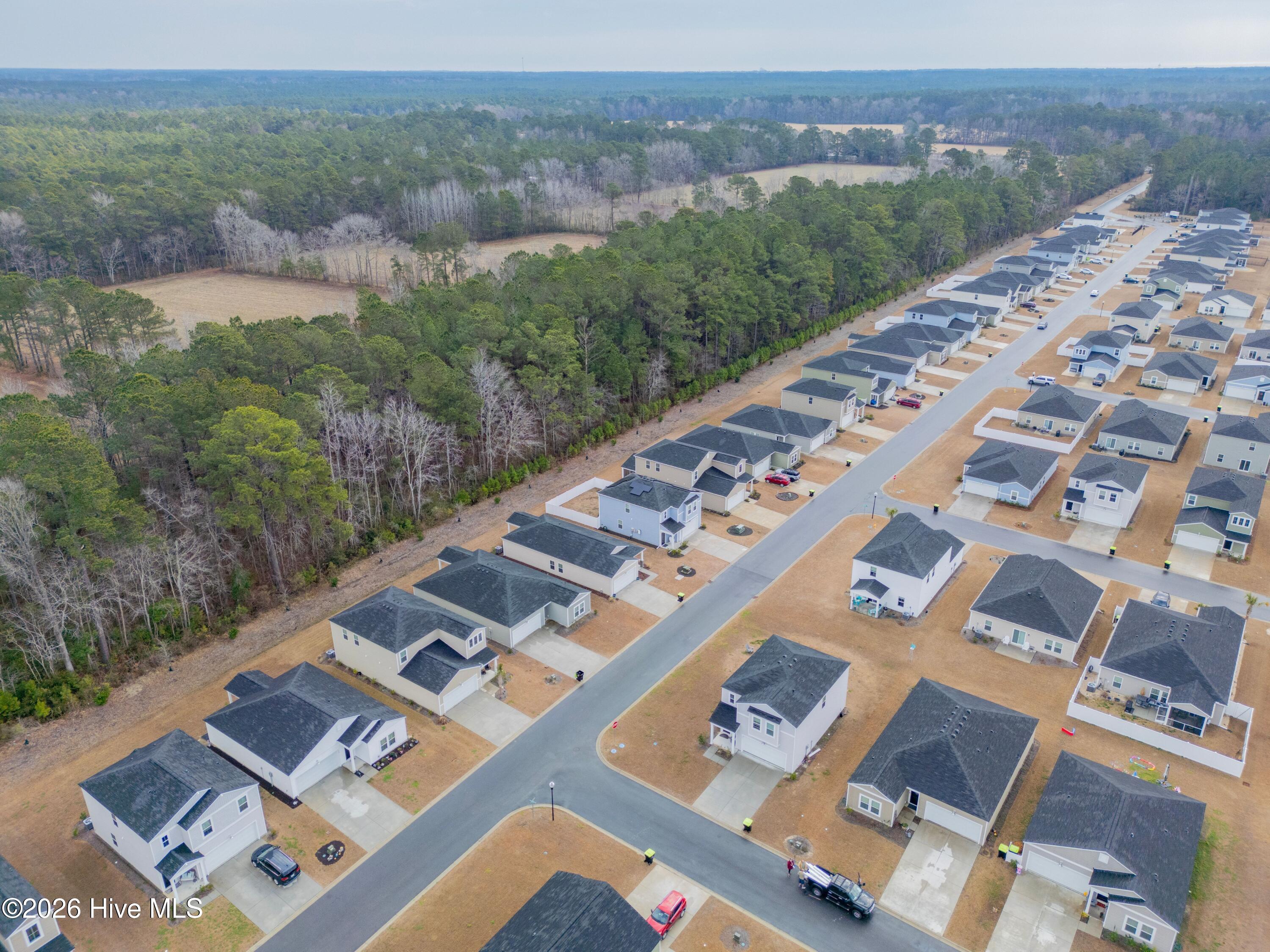 100554355 | Photo 34