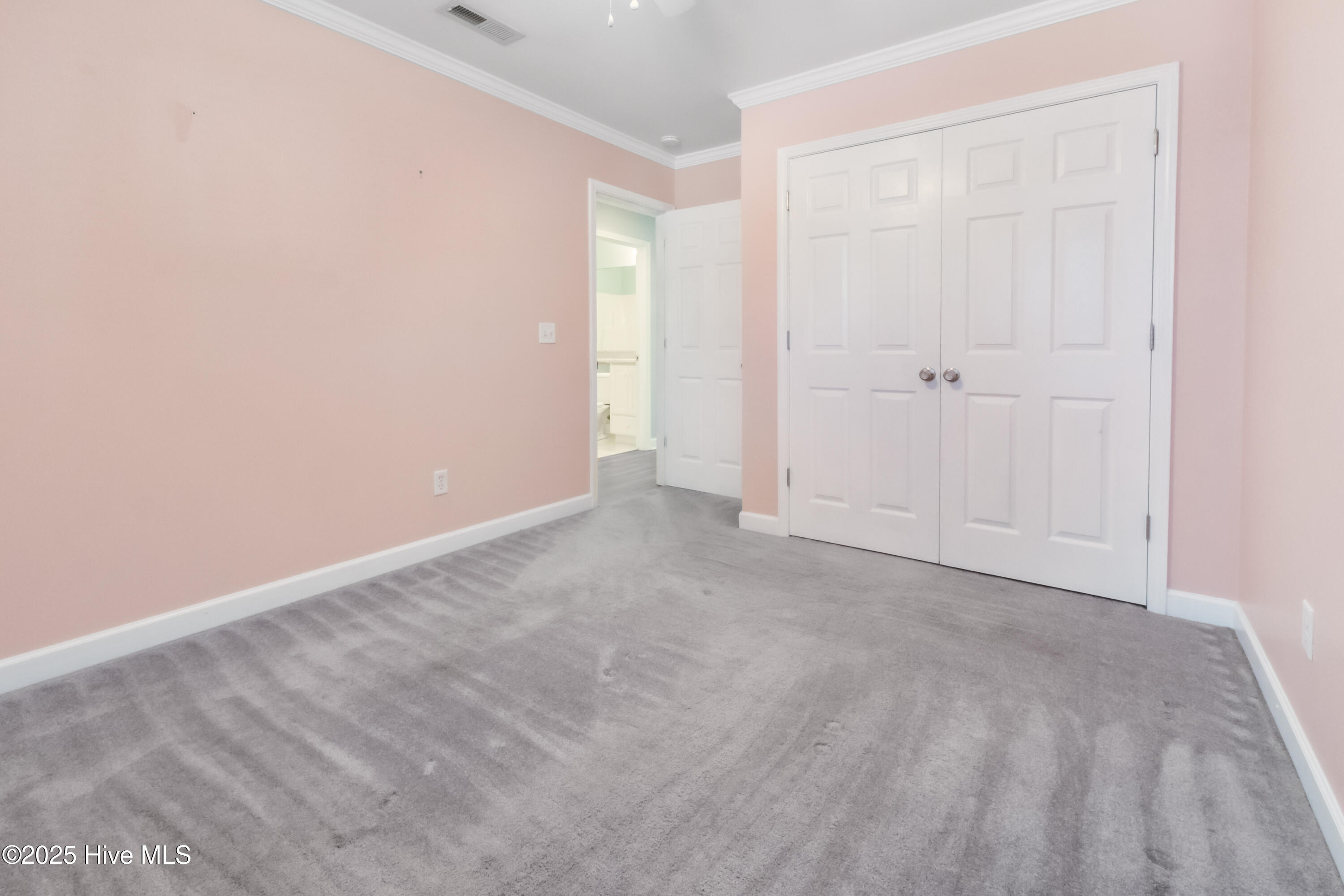 100535506 | Photo 21