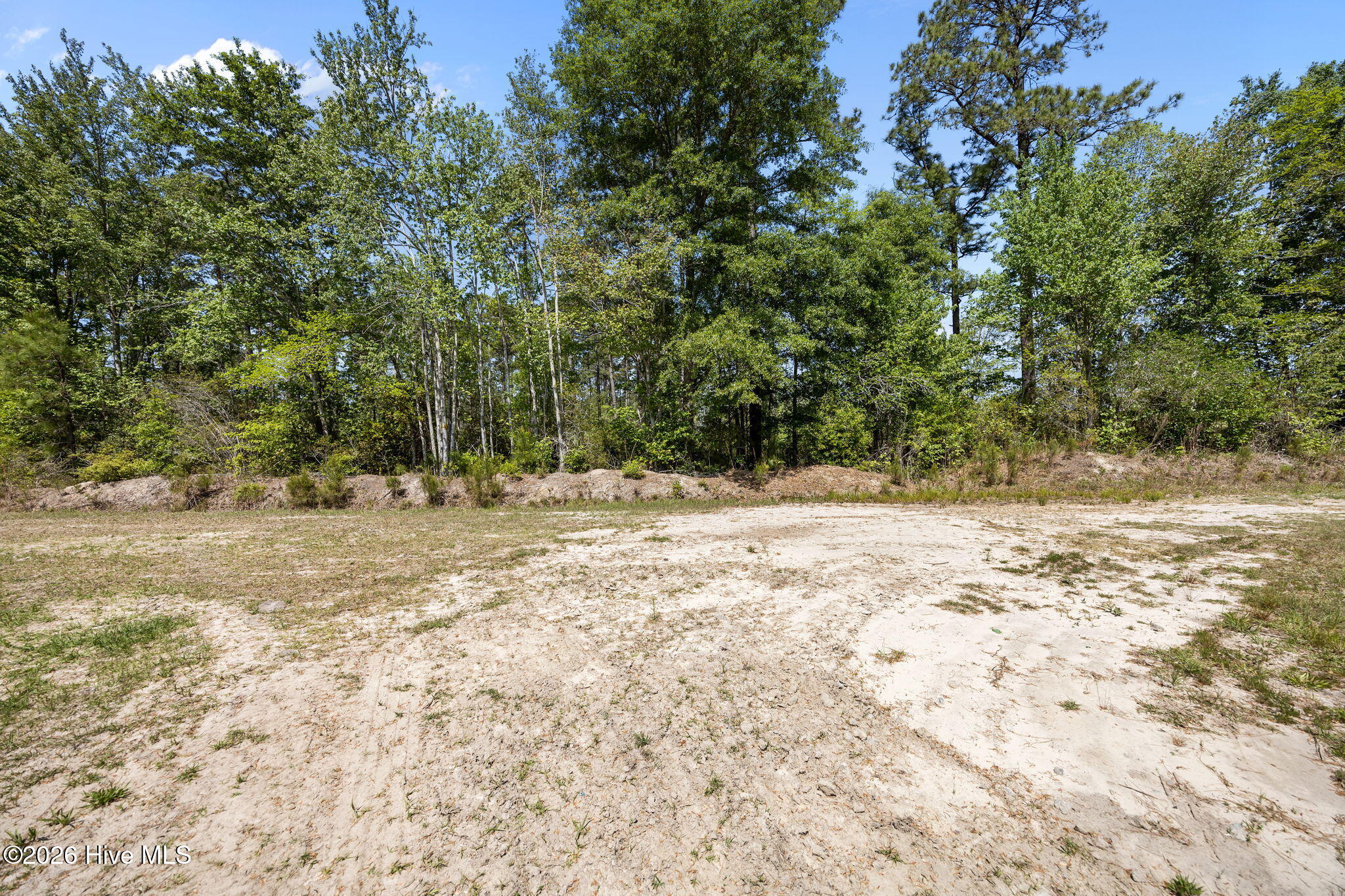 100569049 | Photo 14