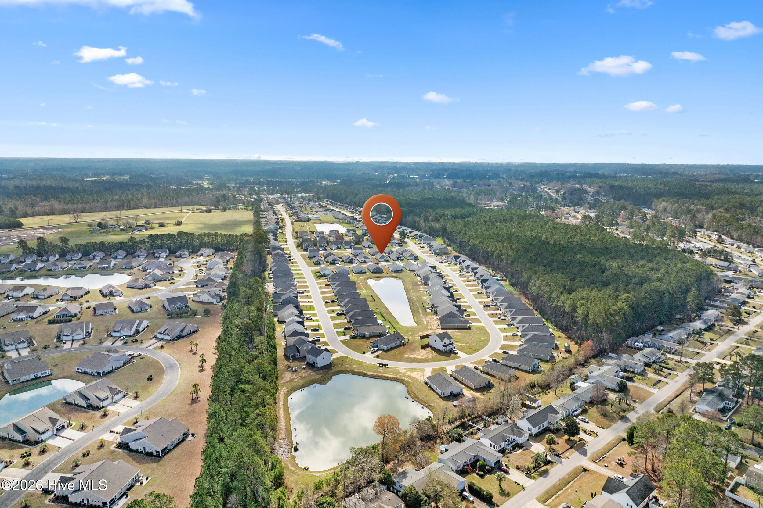 100559429 | Photo 38